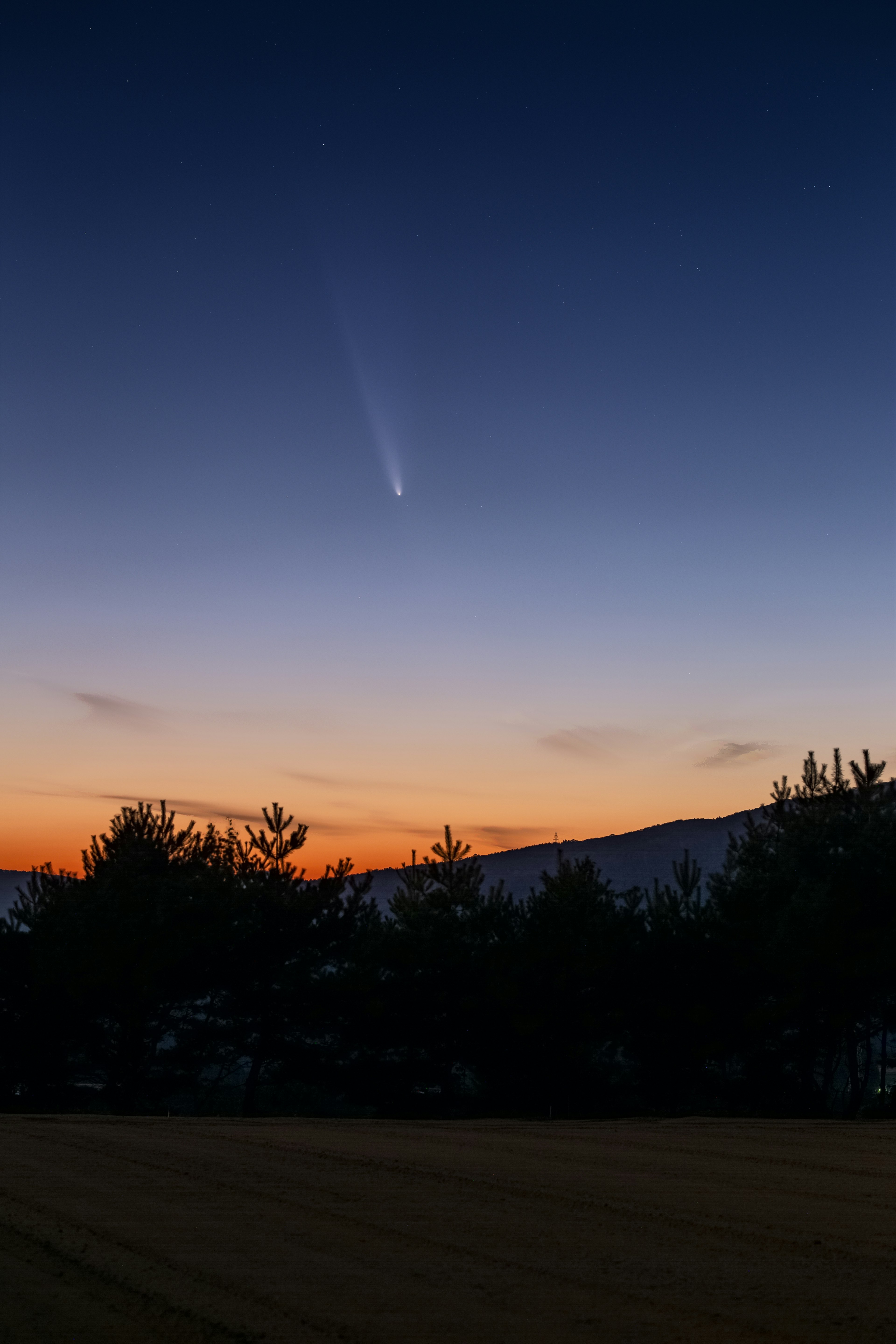 夕焼けの空に彗星が浮かぶ風景と木々