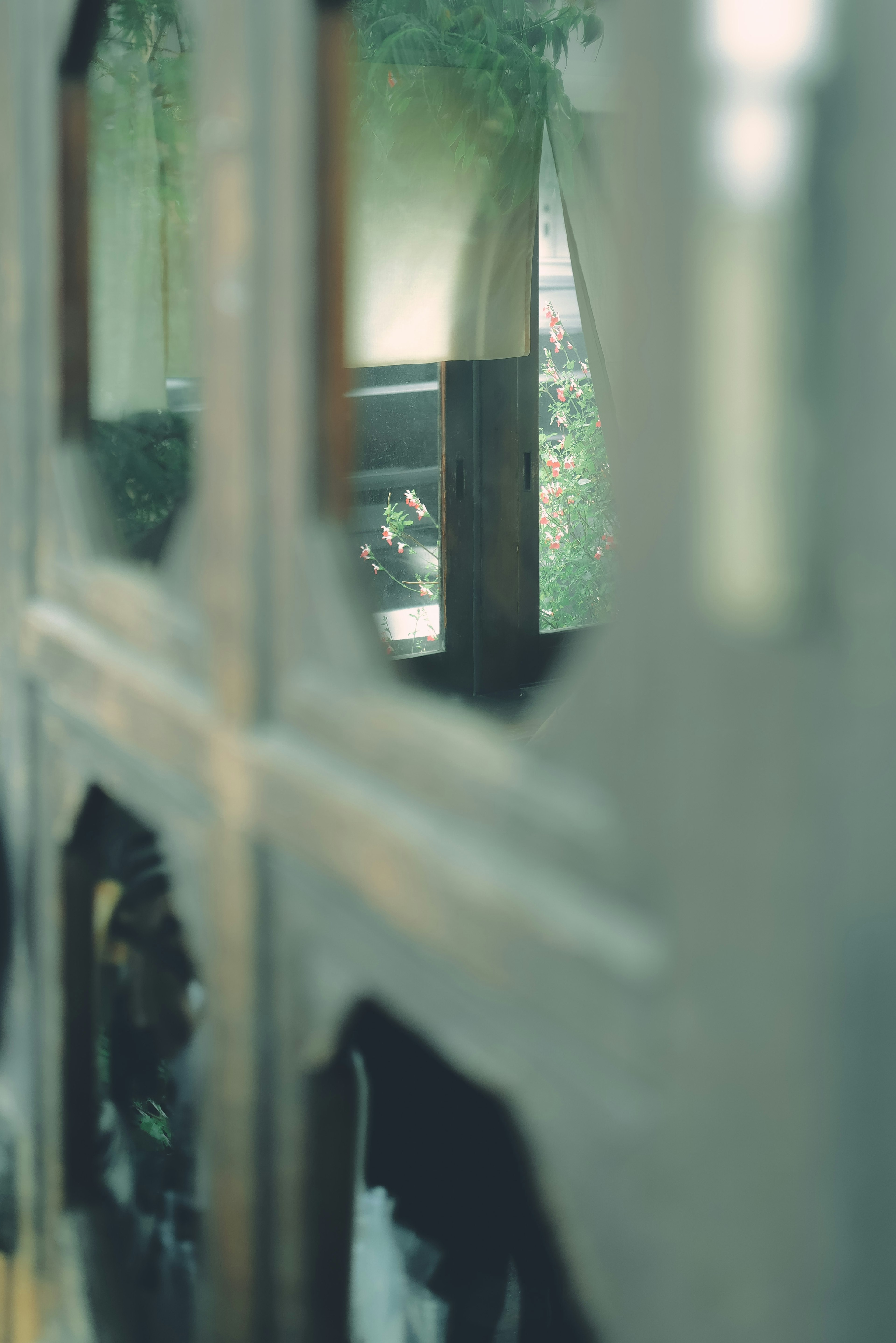 Reflection of a landscape and soft light seen through a wooden door