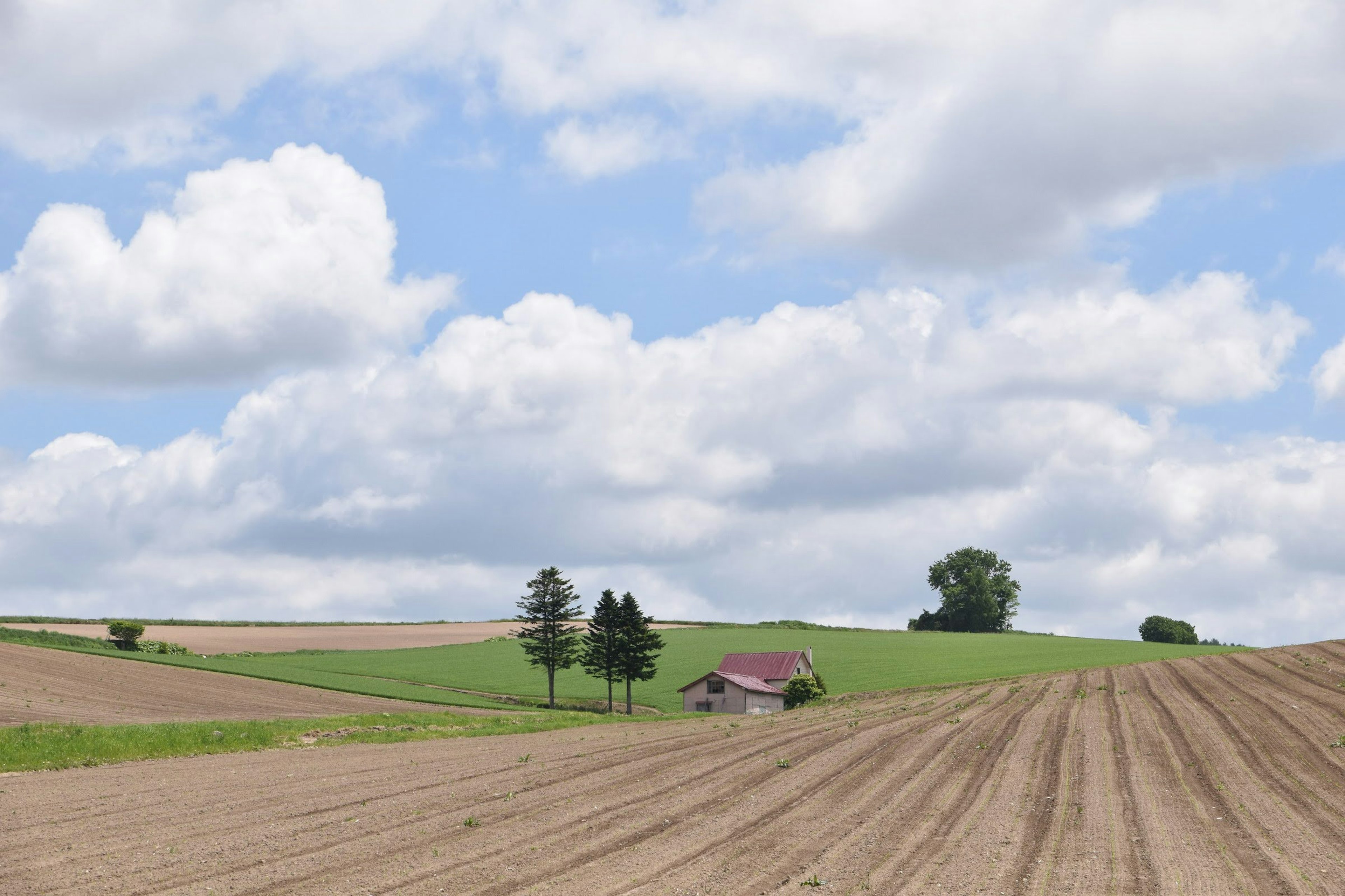 Campo agrícola con una pequeña casa bajo un cielo azul y nubes blancas