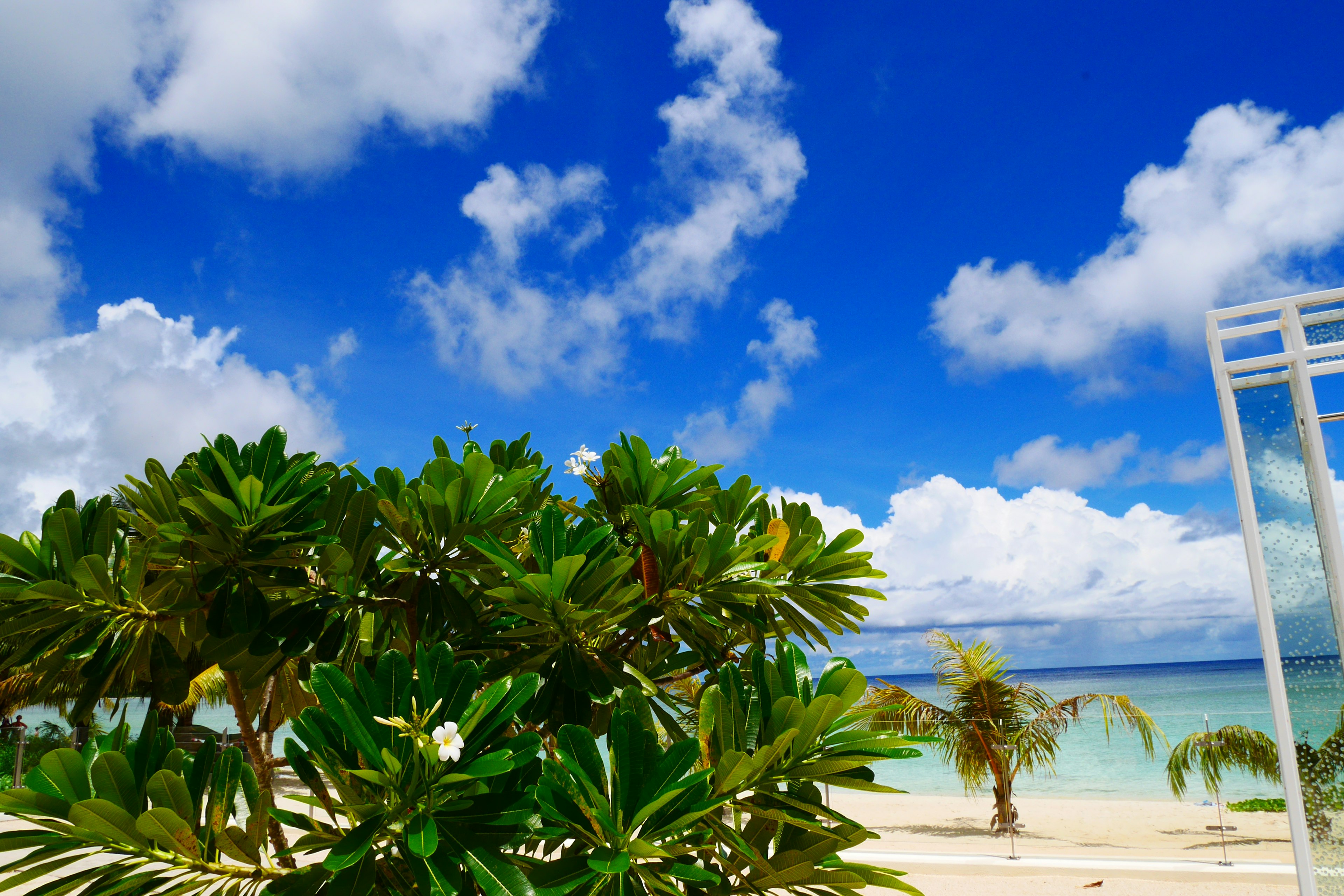 Pemandangan pantai yang cerah dengan vegetasi subur di bawah langit biru dan awan putih