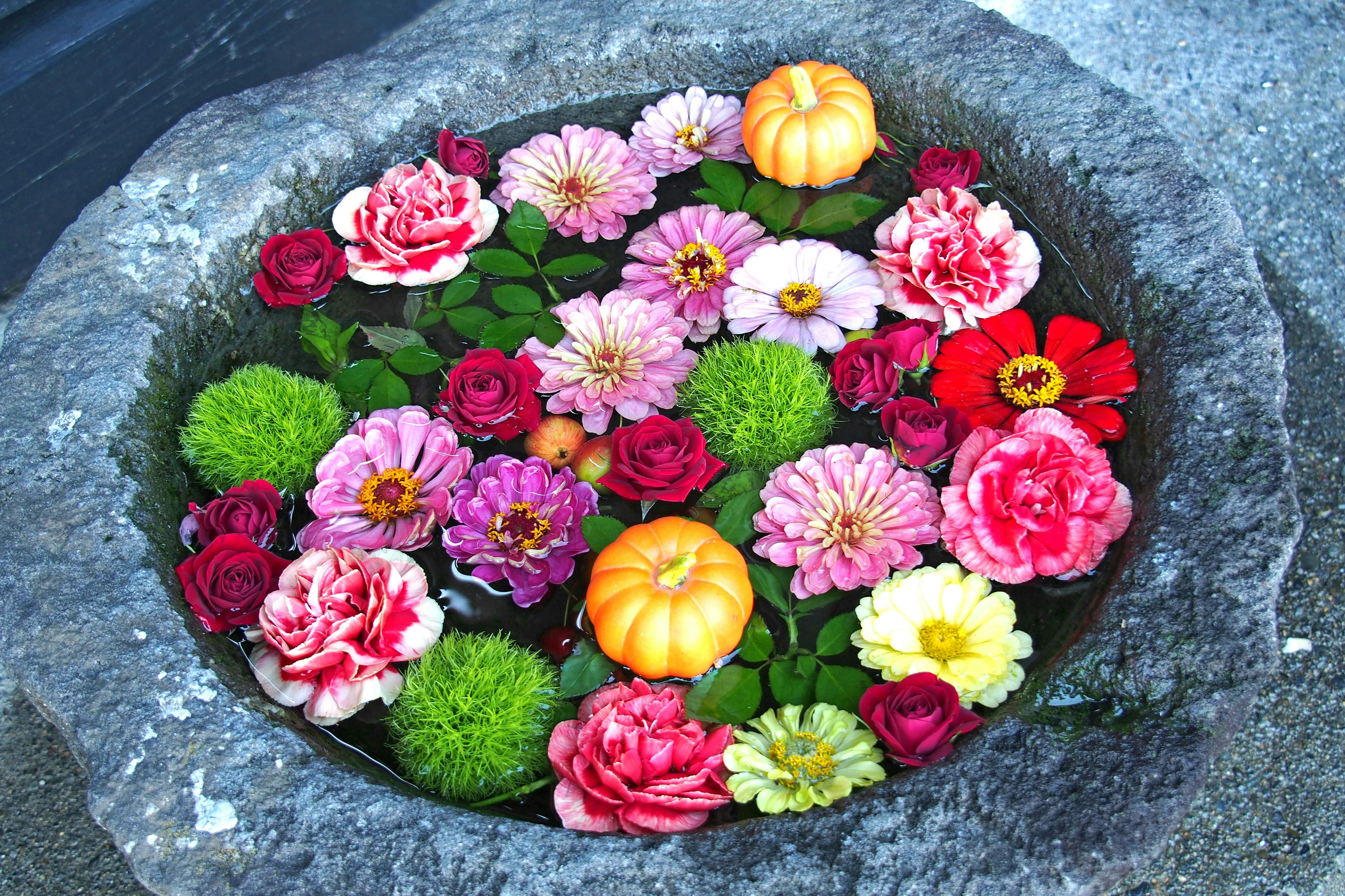 Colorful flowers and small pumpkins floating in a stone basin