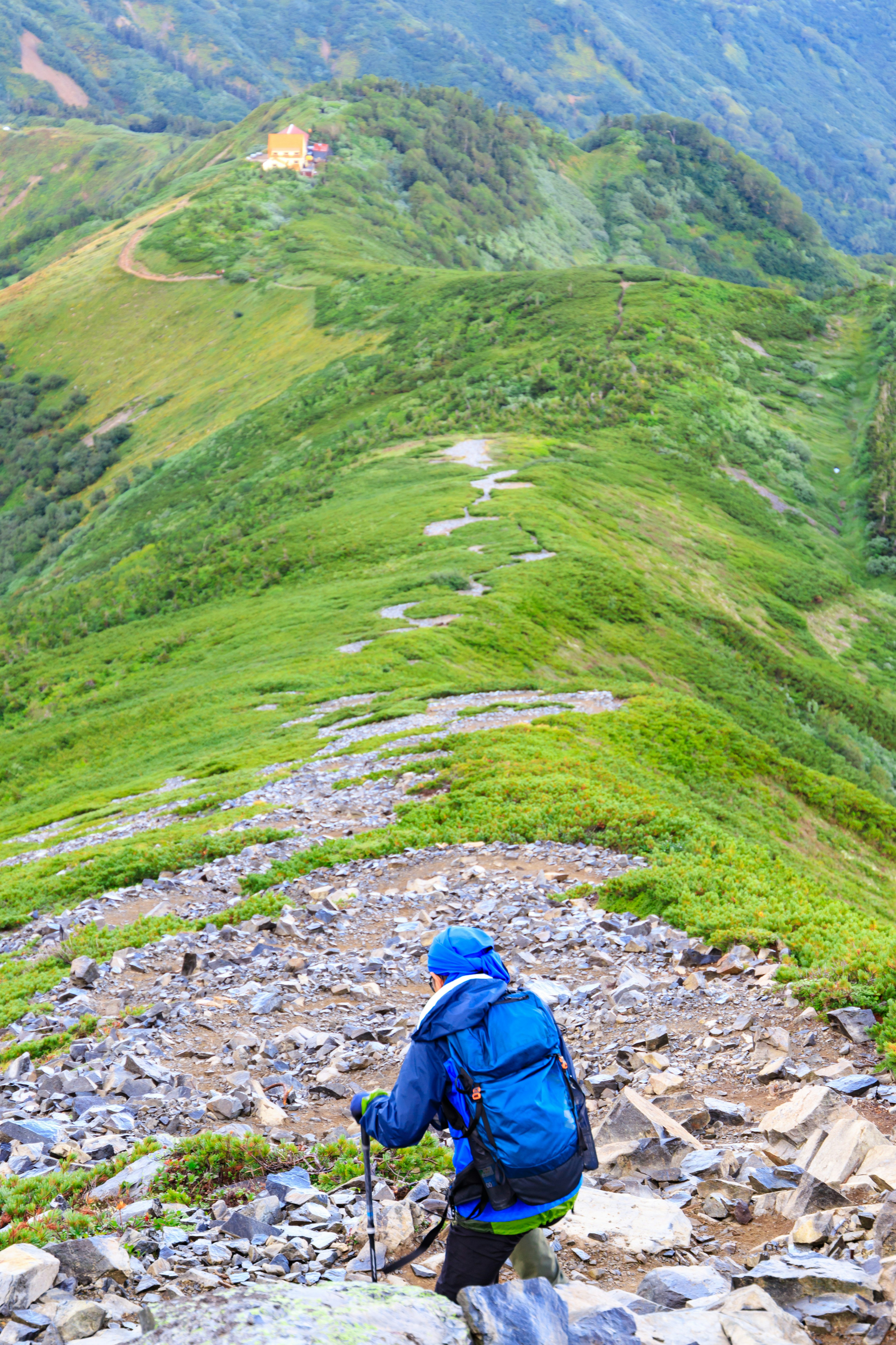 Hiker climbing a lush green mountain trail