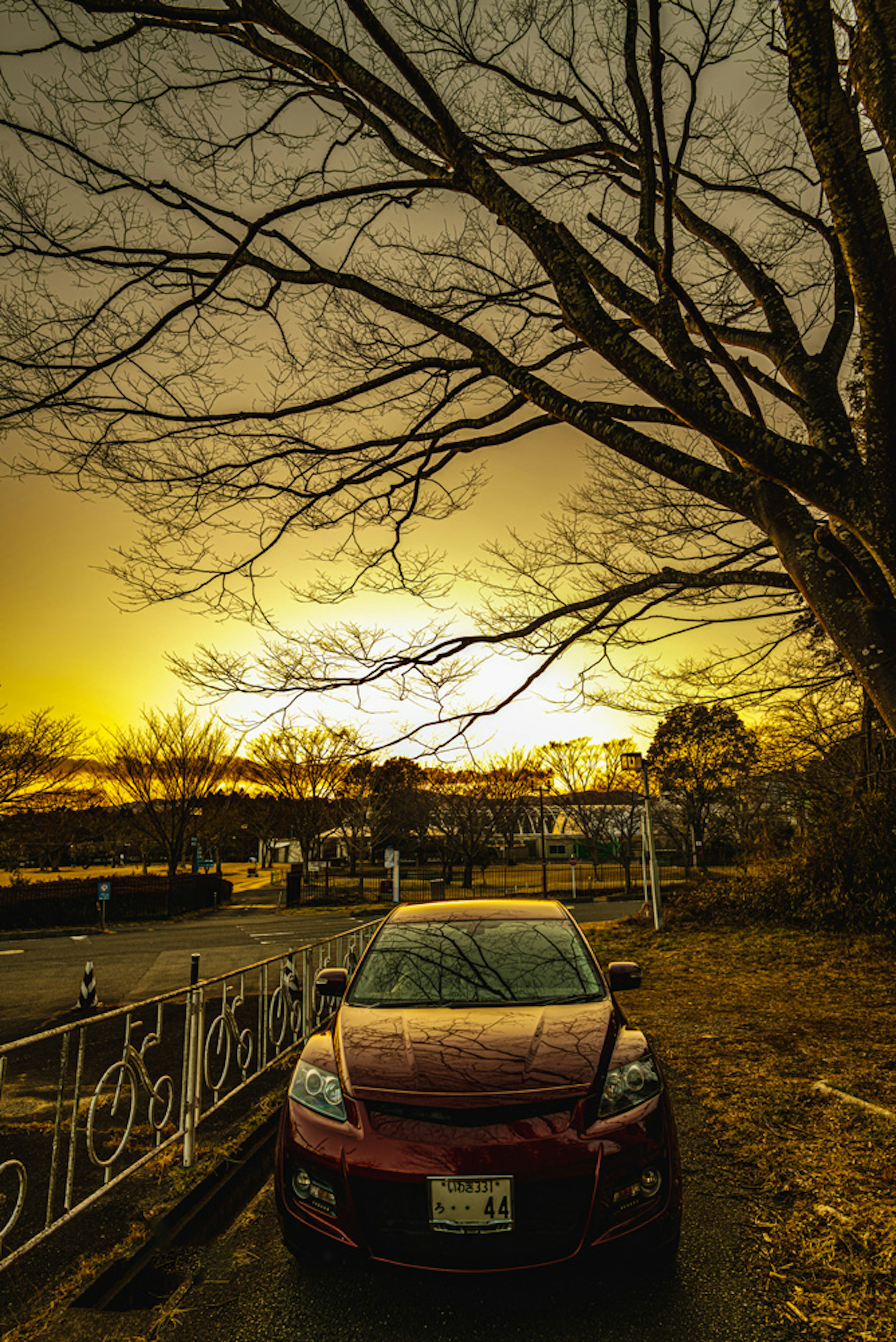 Coche rojo estacionado bajo un cielo de atardecer con siluetas de árboles