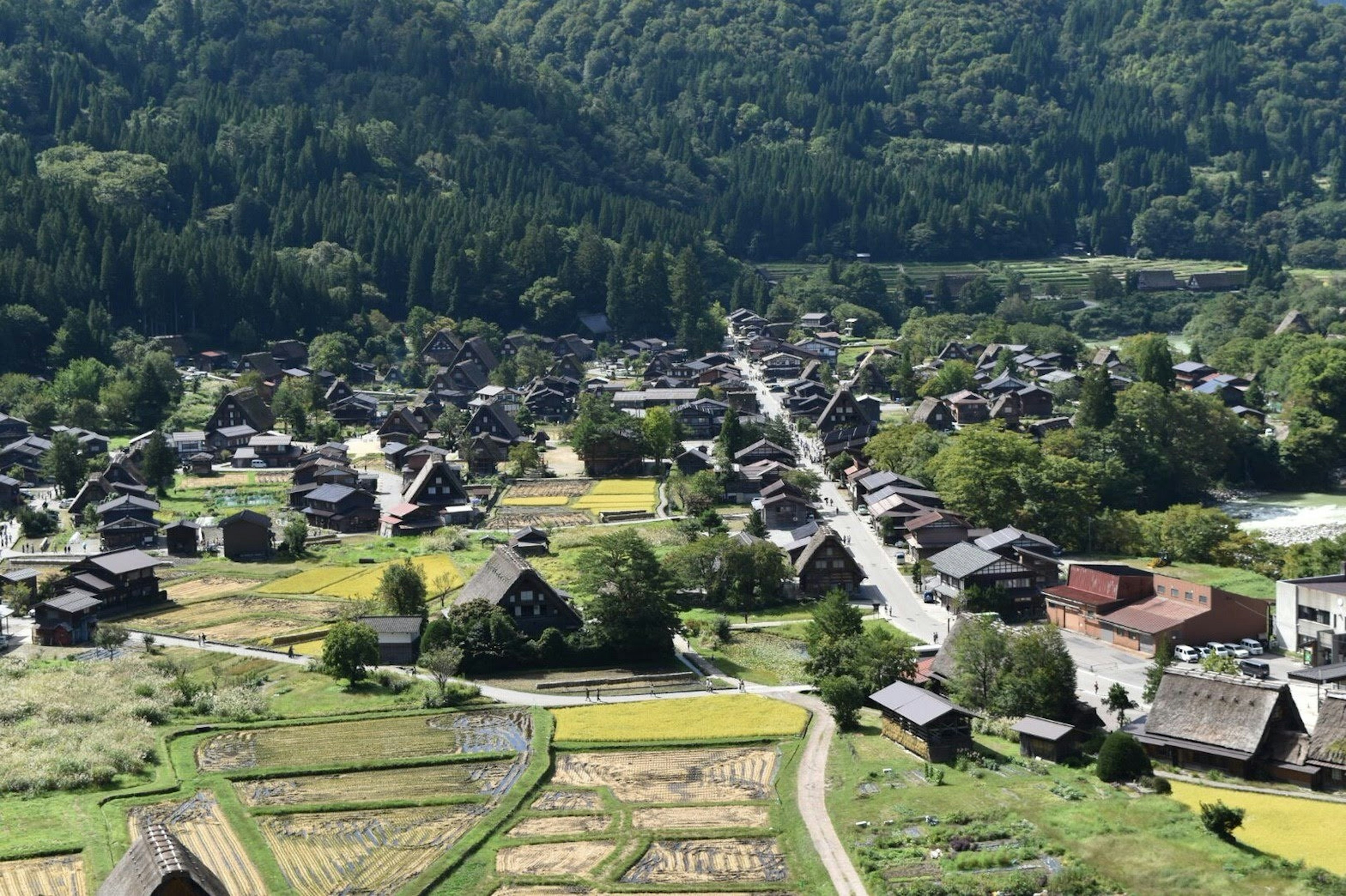 Panoramic view of a picturesque mountain village showcasing rural scenery and traditional buildings