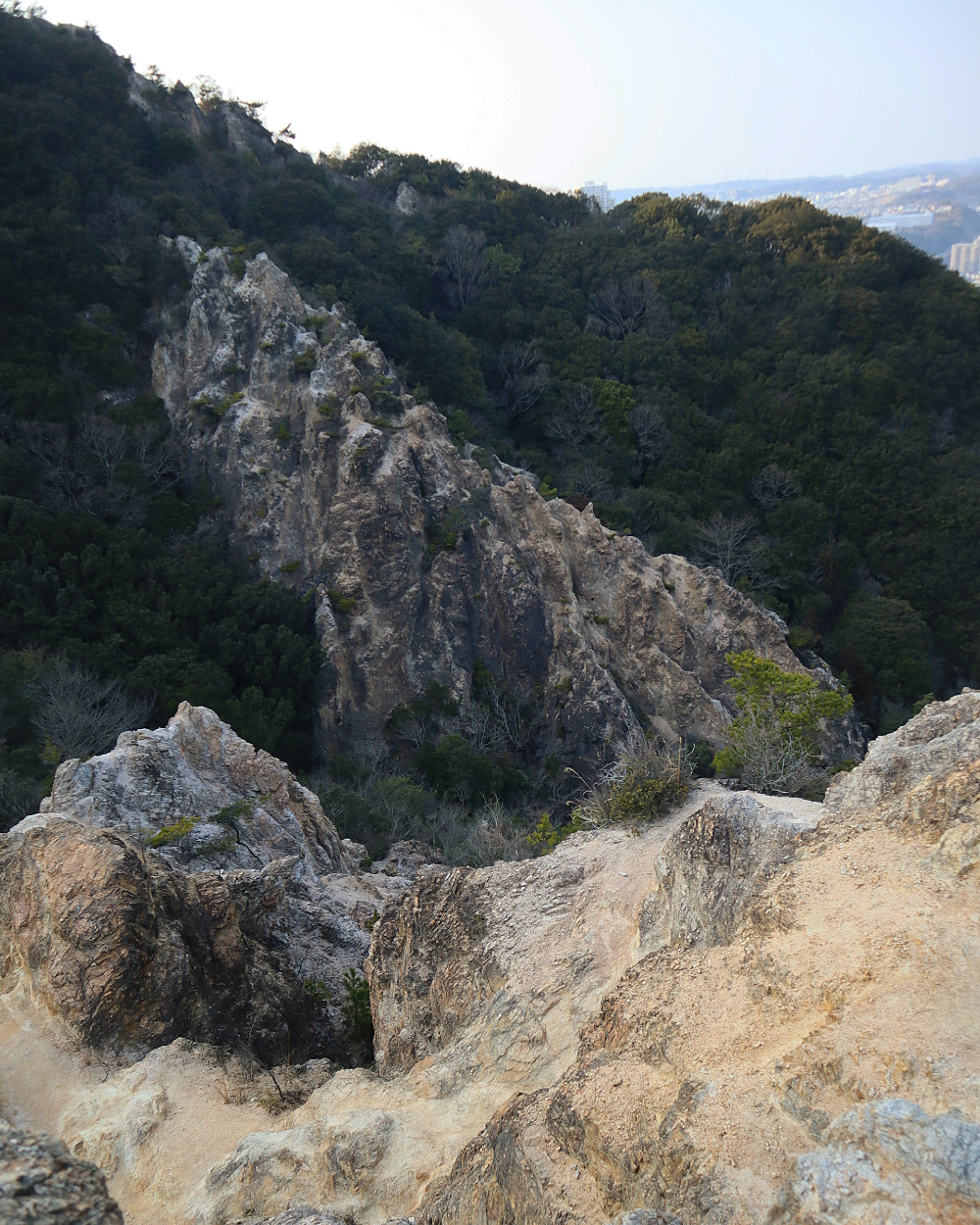 Paesaggio montano roccioso con foresta verde lussureggiante