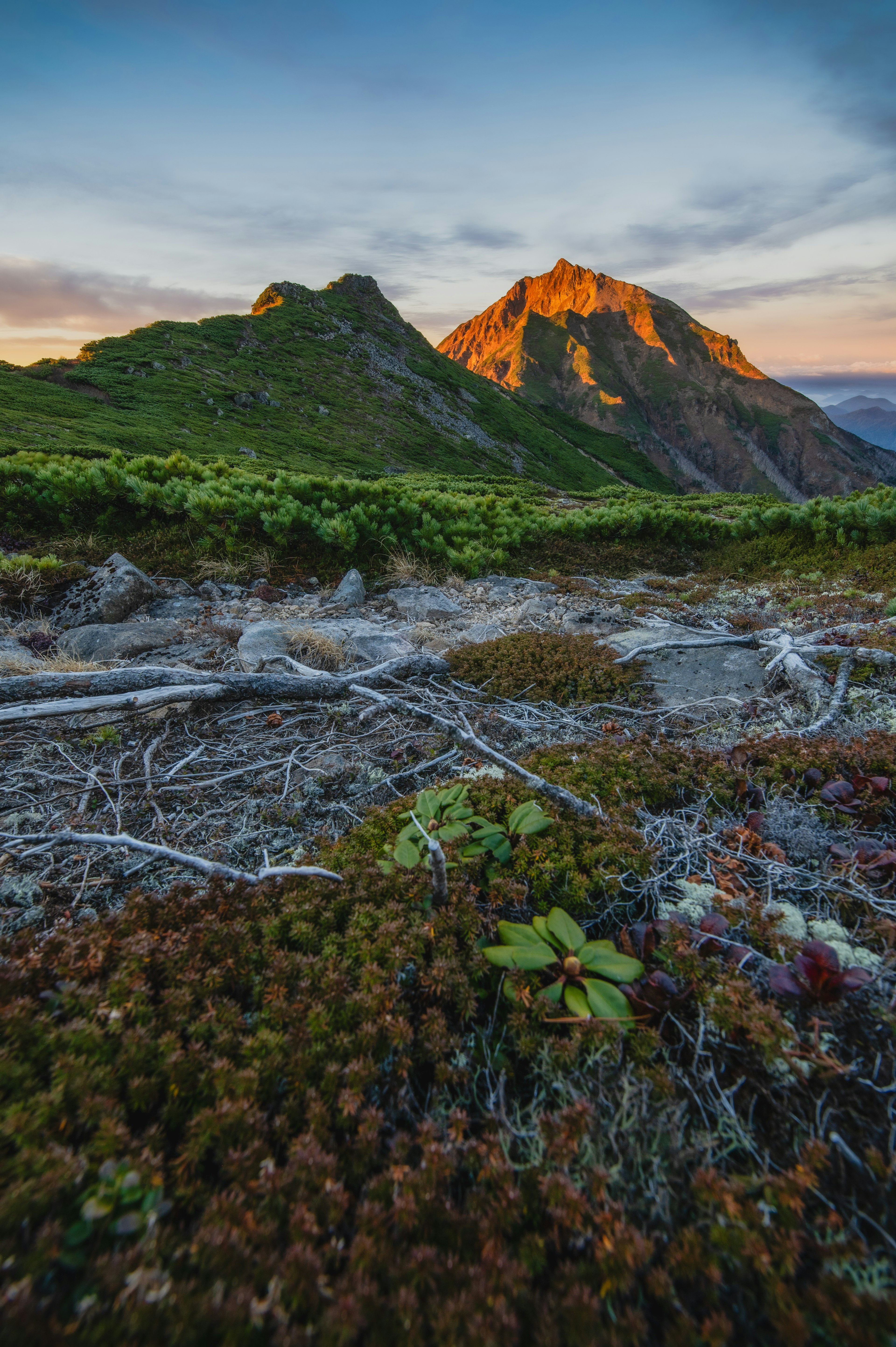 山と草地の風景夕焼けに照らされた山