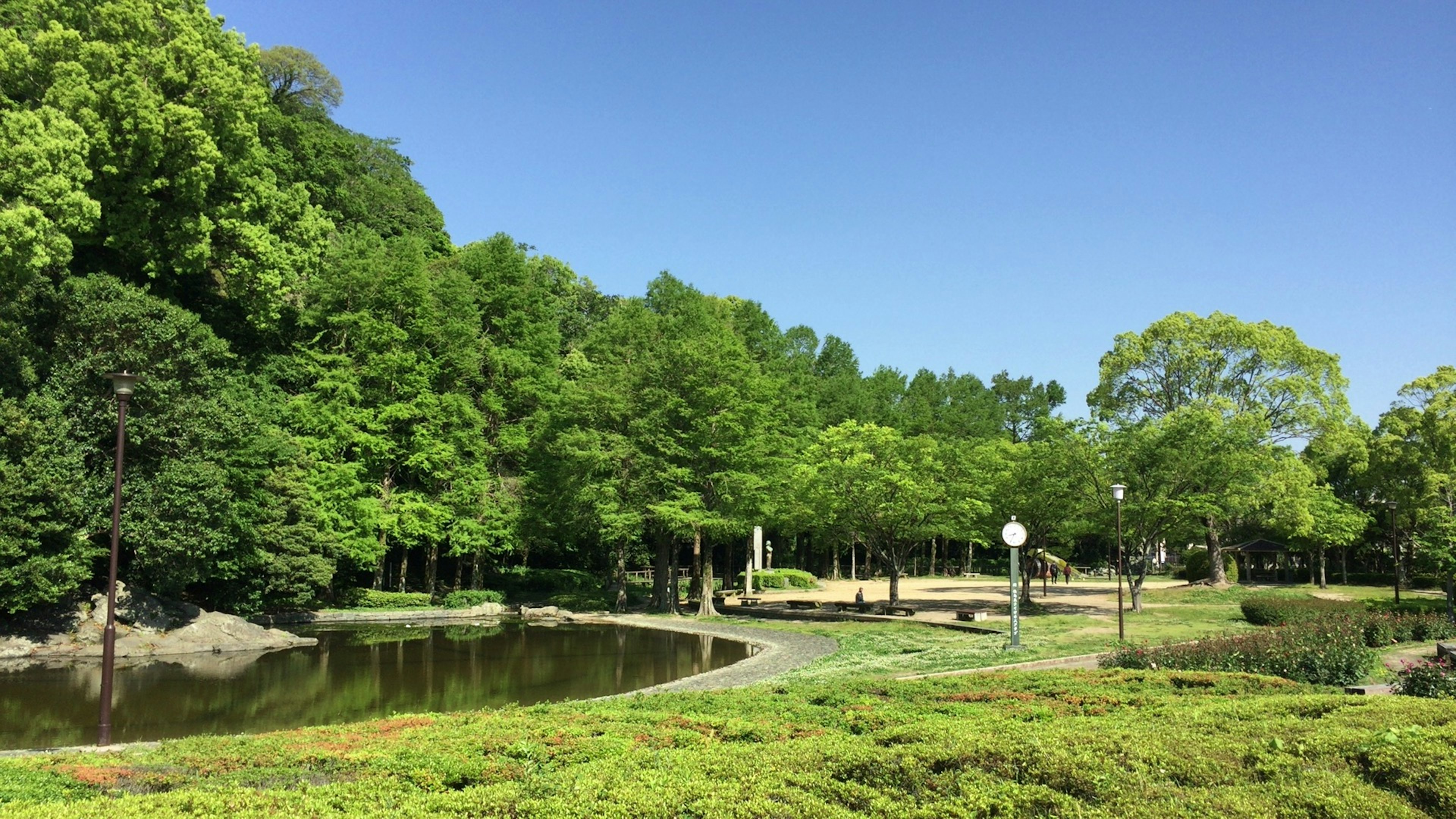 Lush park landscape featuring a pond and a bridge