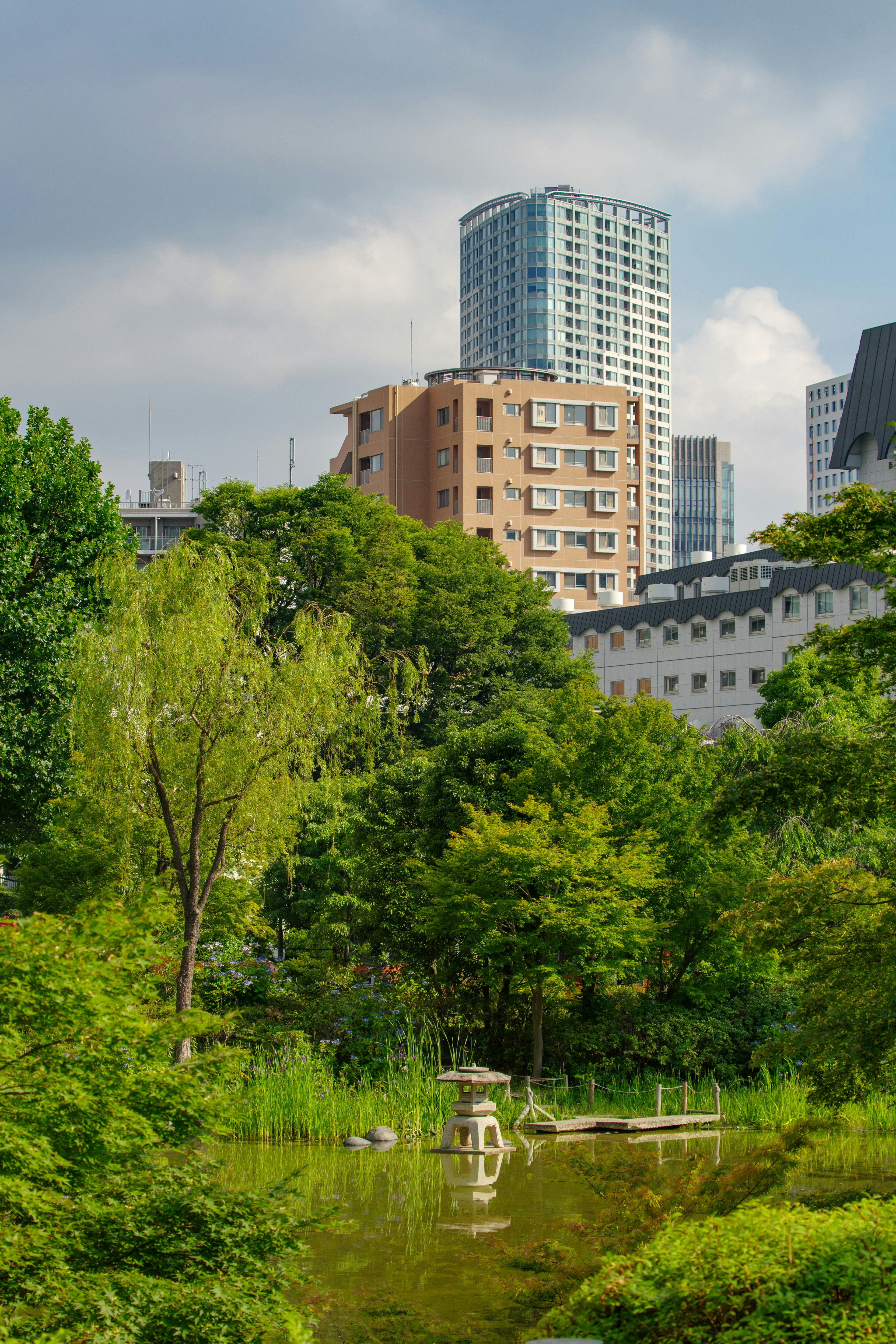 一幅风景如画的池塘景观，周围环绕着郁郁葱葱的绿树，背景是高楼大厦