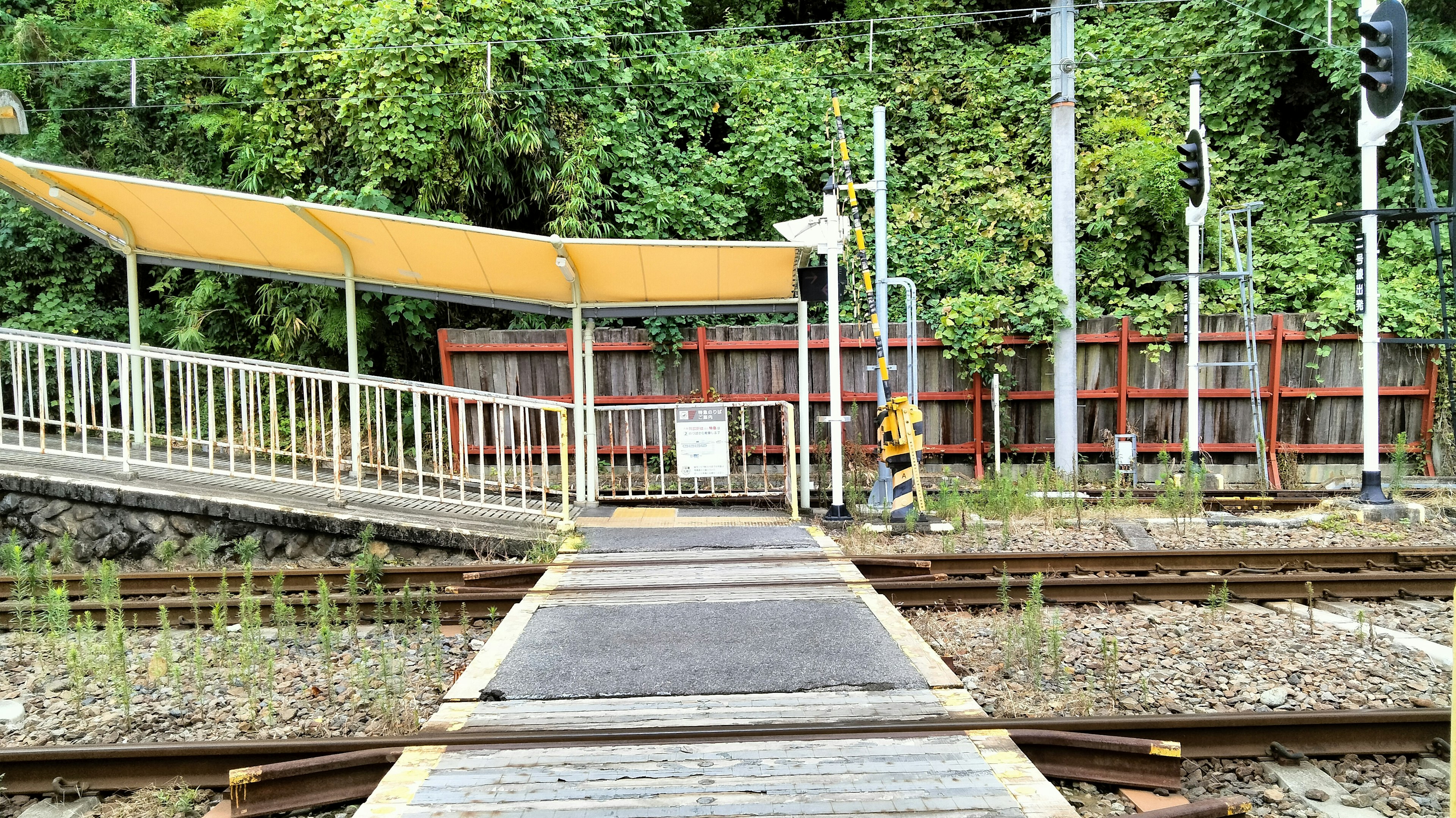 Vue d'une petite plateforme de gare avec une passerelle et un feuillage vert en arrière-plan