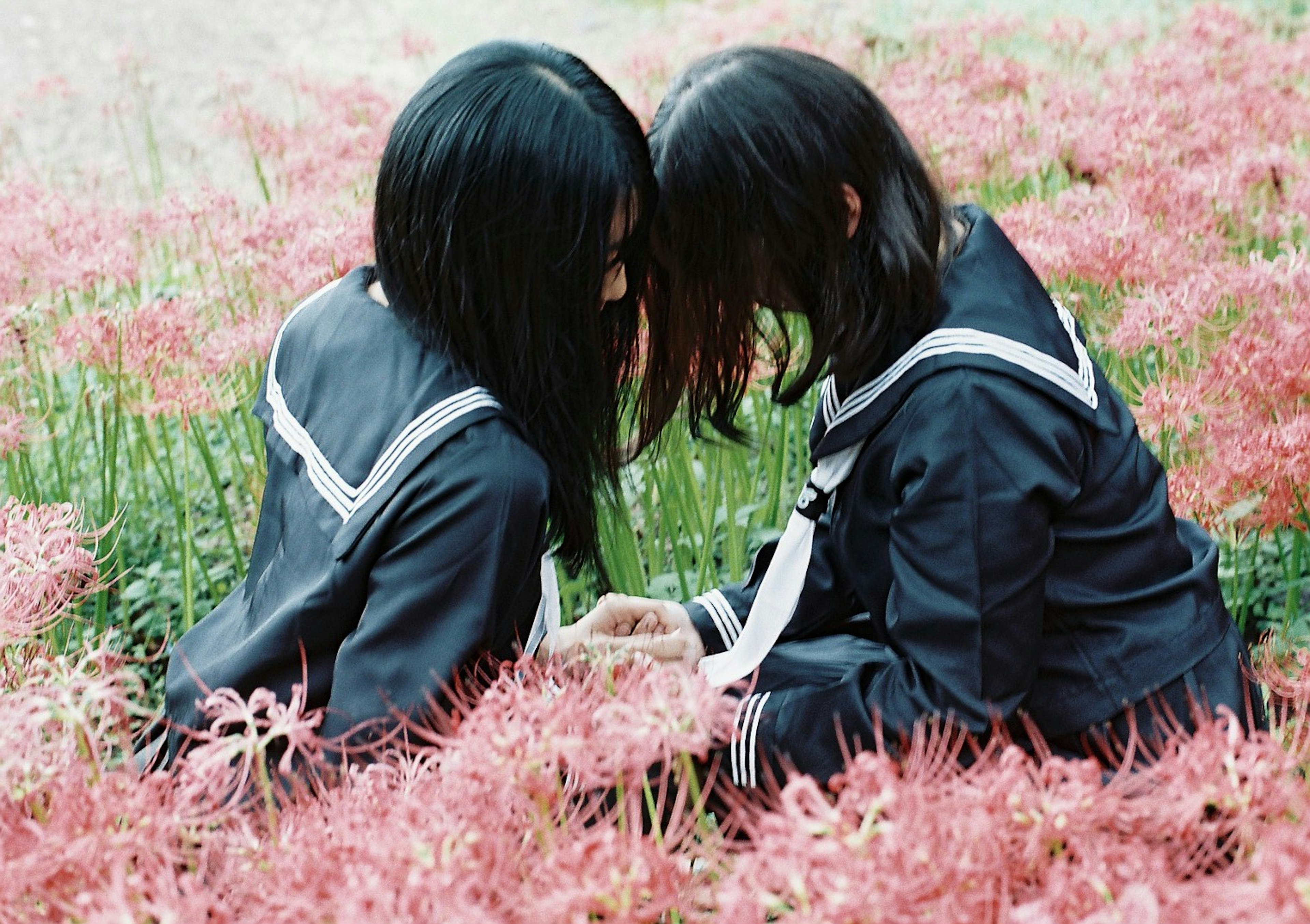 Dua gadis bersandar kepala di ladang bunga pink