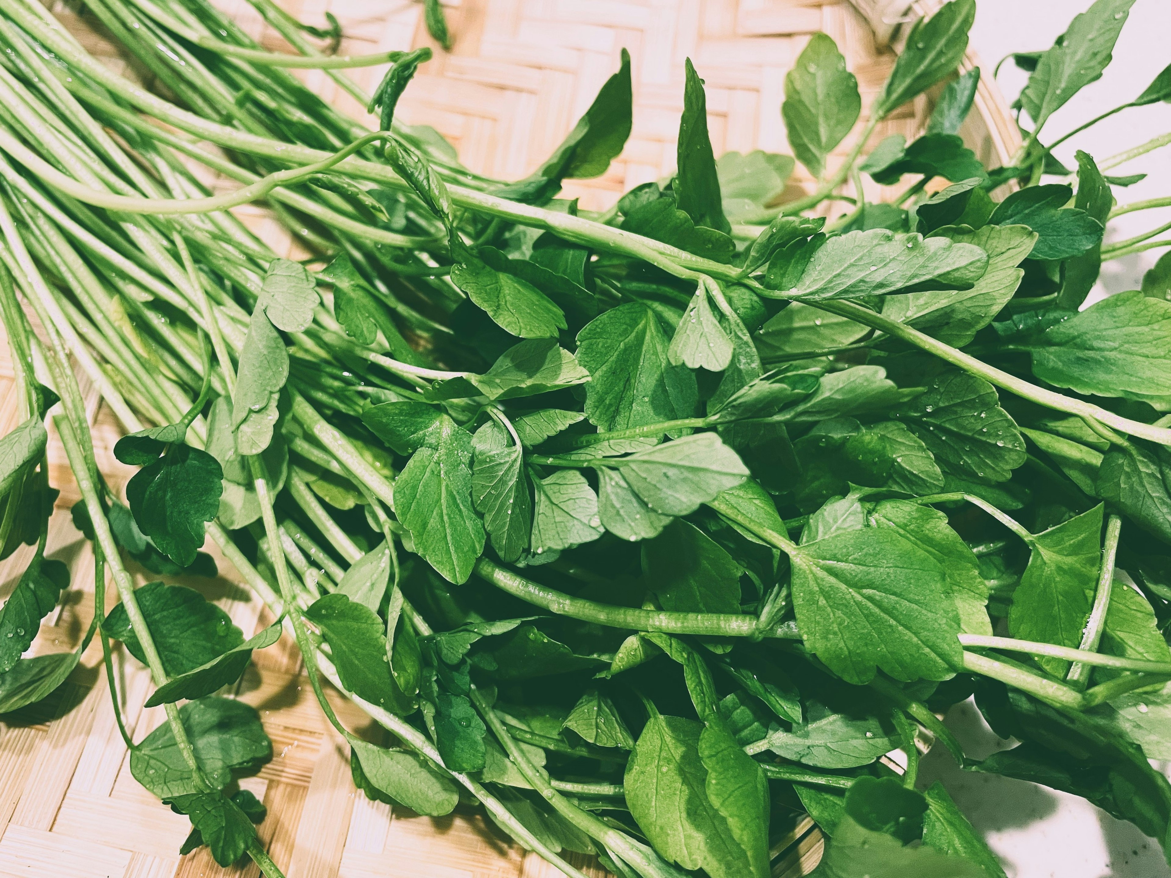 Fresh green herbs placed on a woven basket