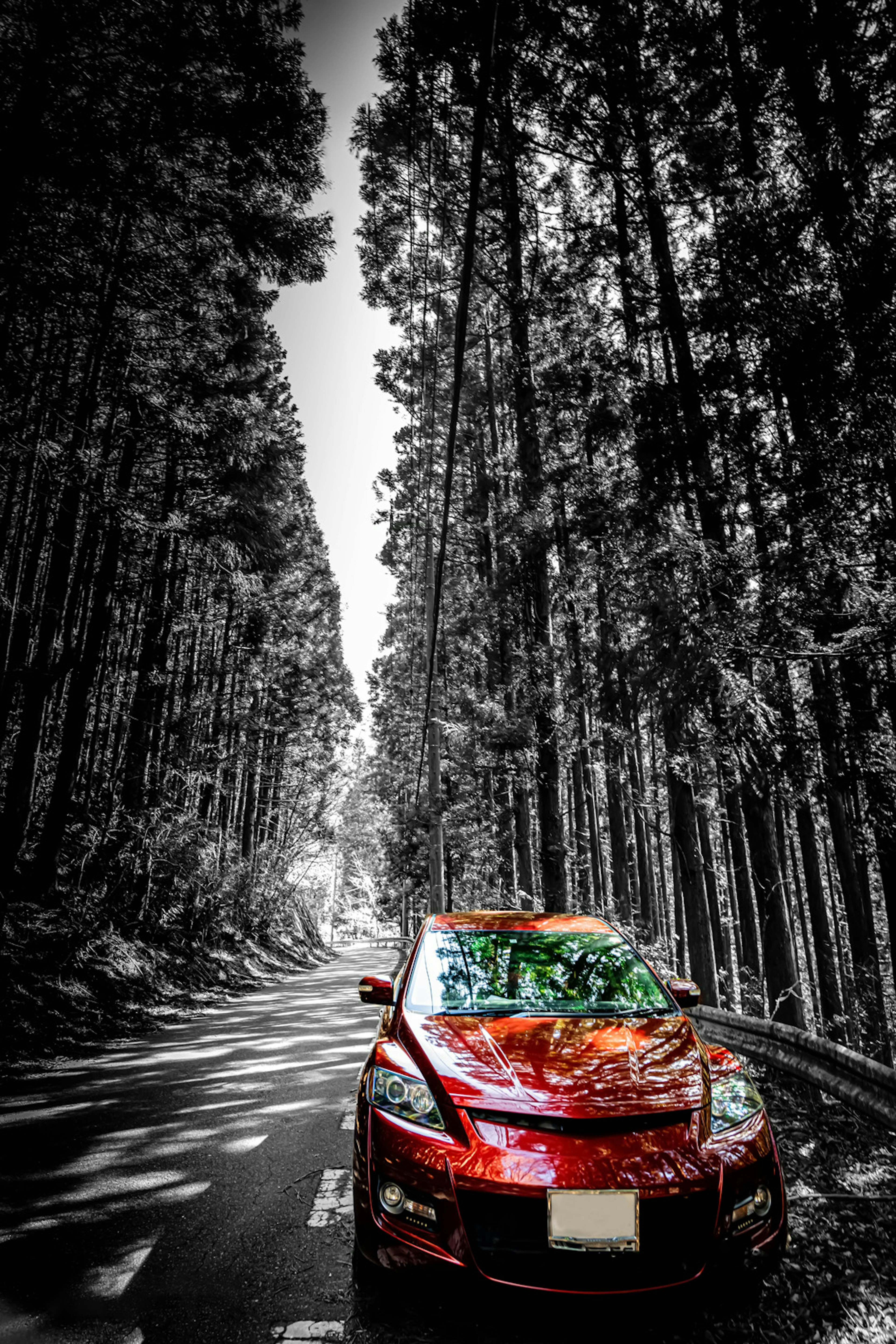 Un coche rojo estacionado en un camino forestal en blanco y negro