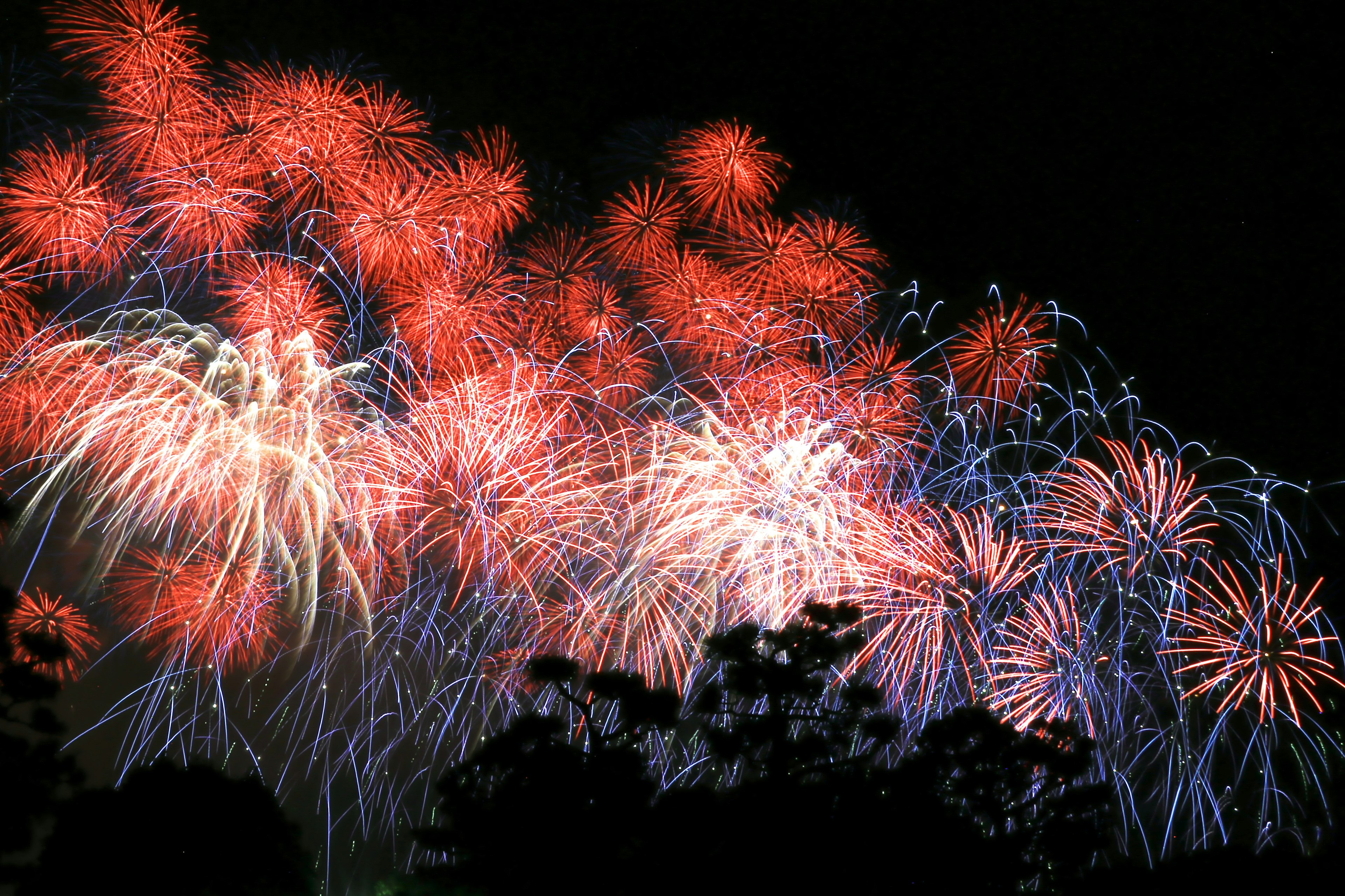 Colorful fireworks in red and blue bursting in the night sky