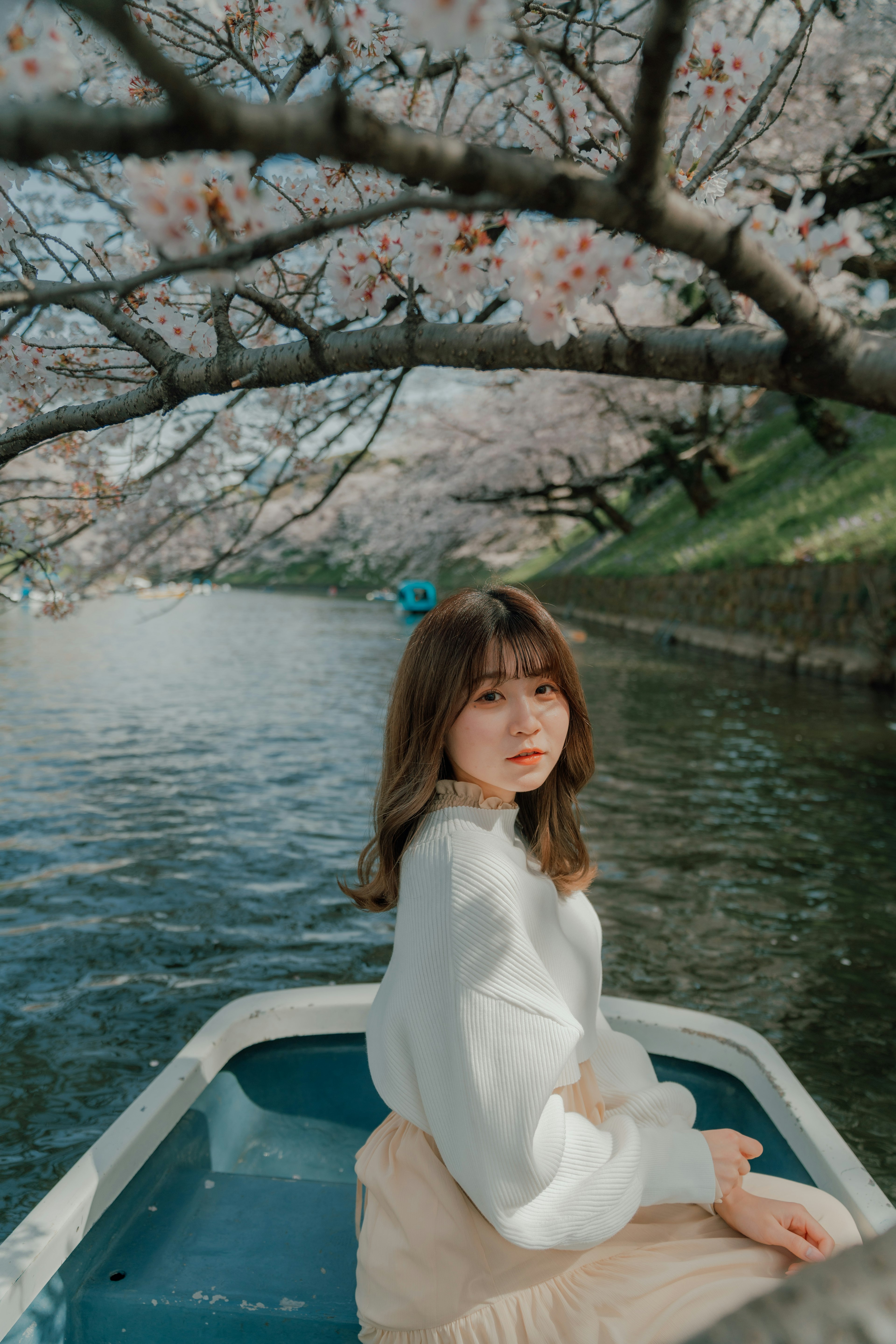 Une femme assise dans un bateau sous des cerisiers en fleurs