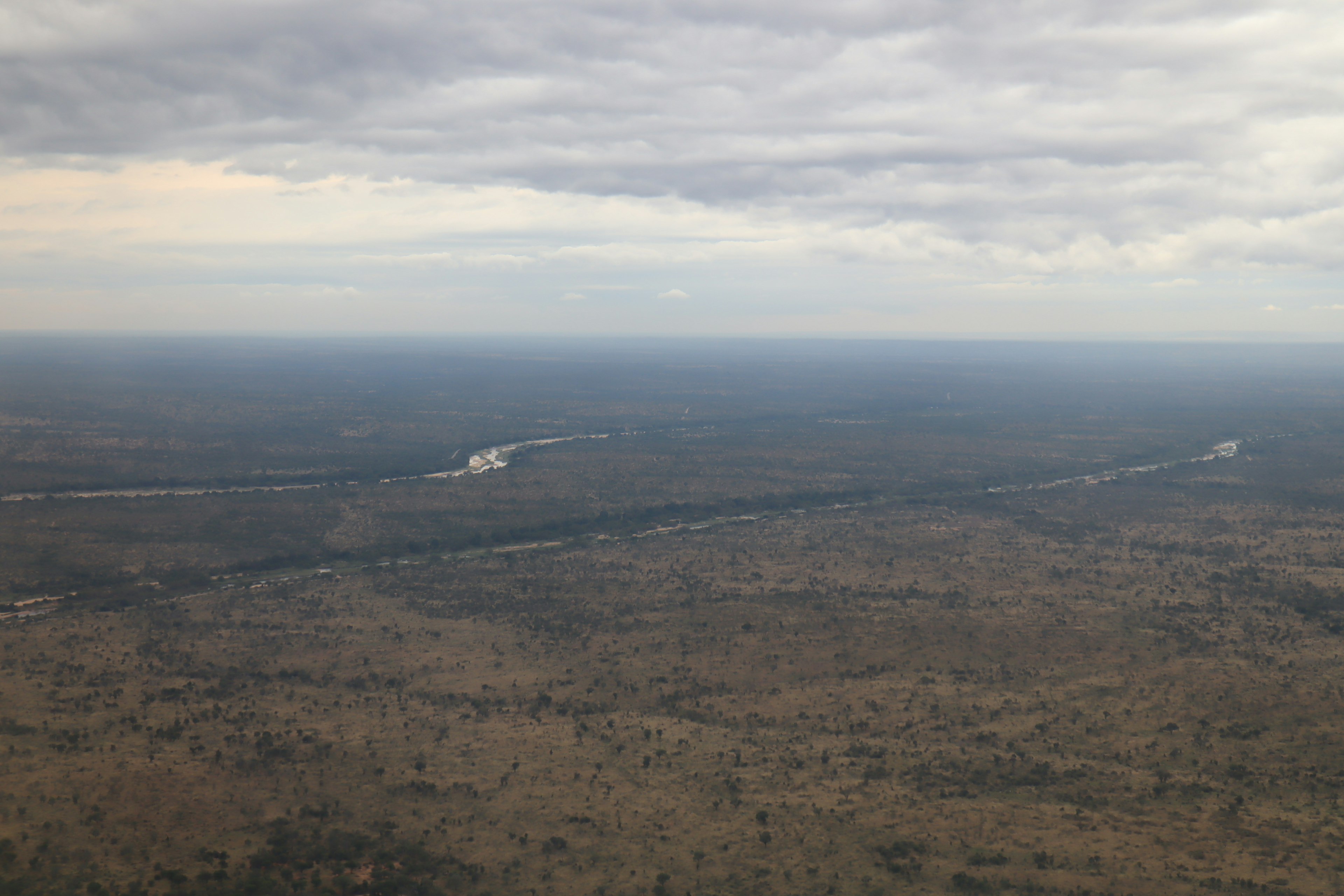 Aerial view of expansive forest and river landscape