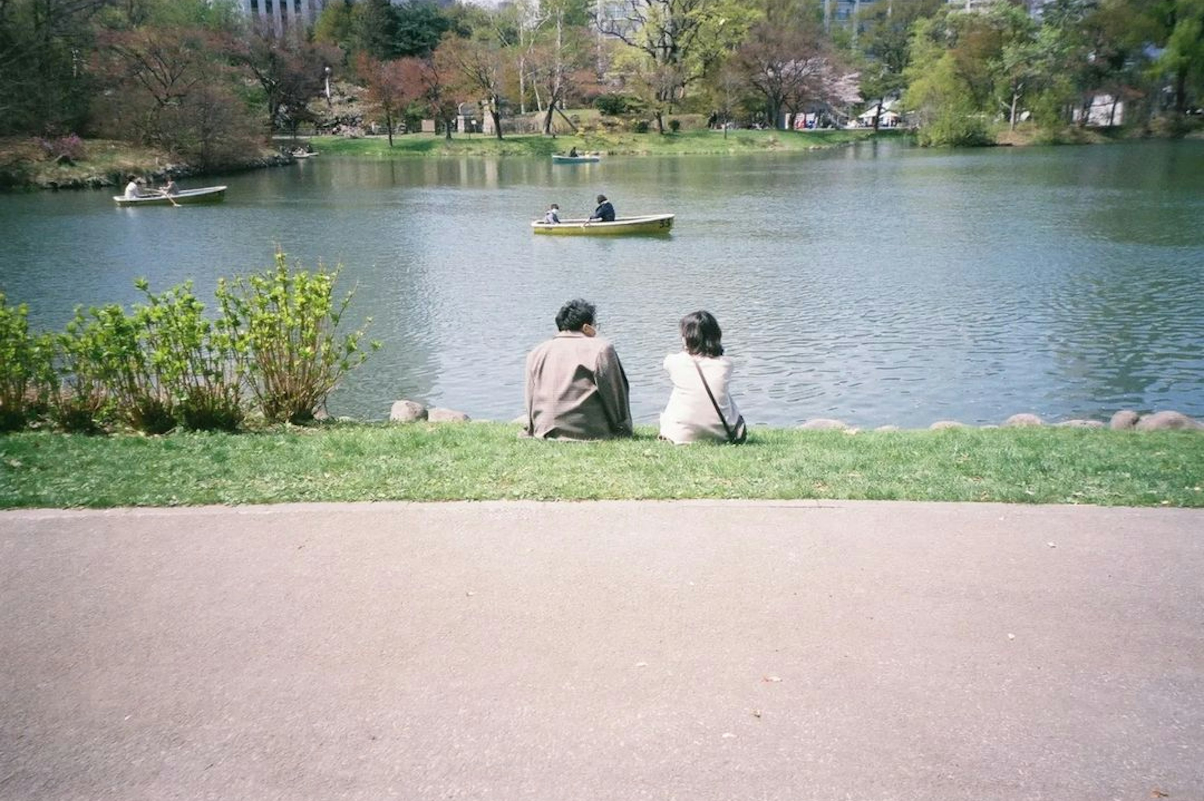 カップルが湖のほとりに座り、ボートが浮かぶ公園の風景