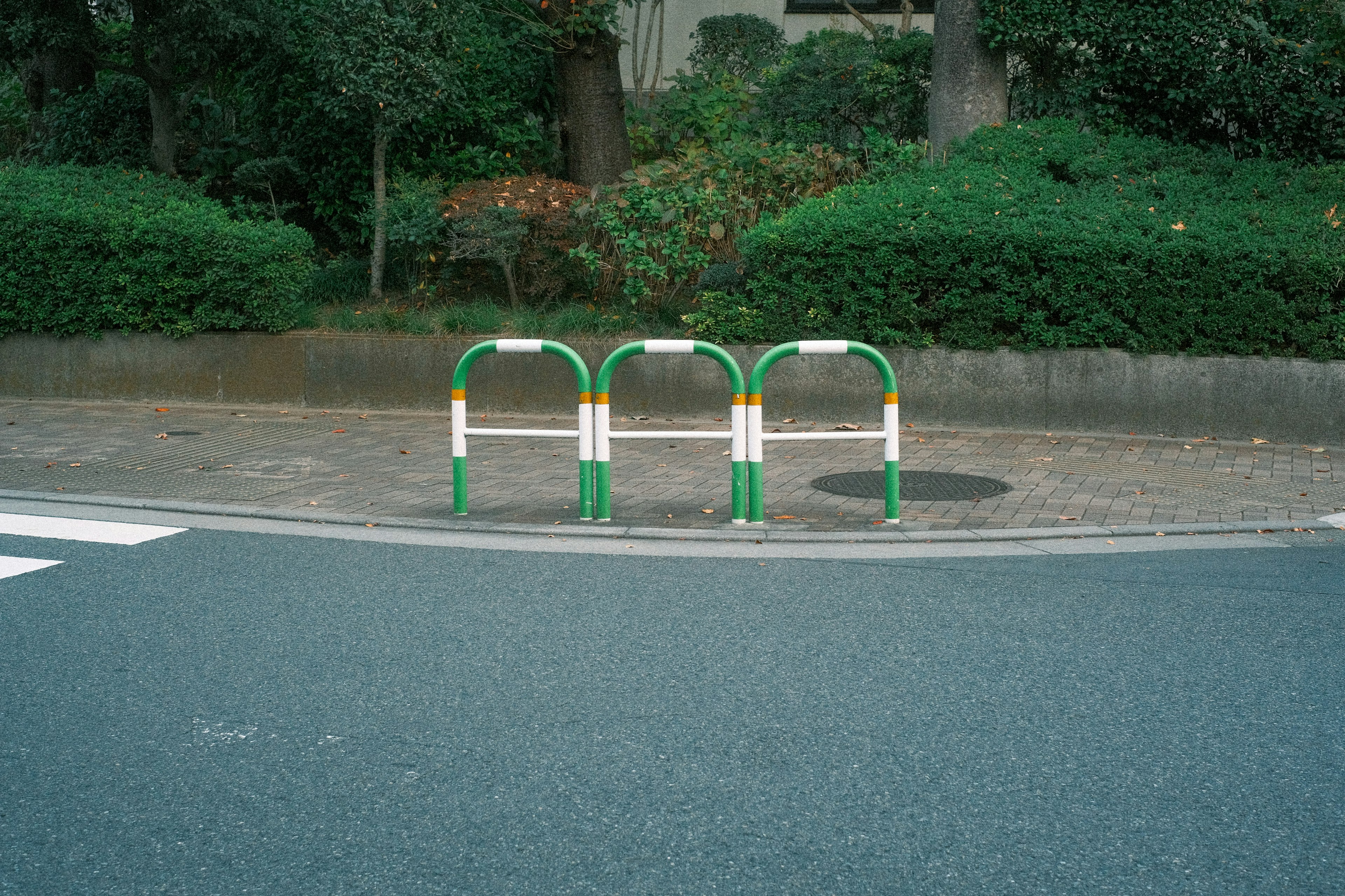 緑と白の自転車ラックが並ぶ舗道の風景