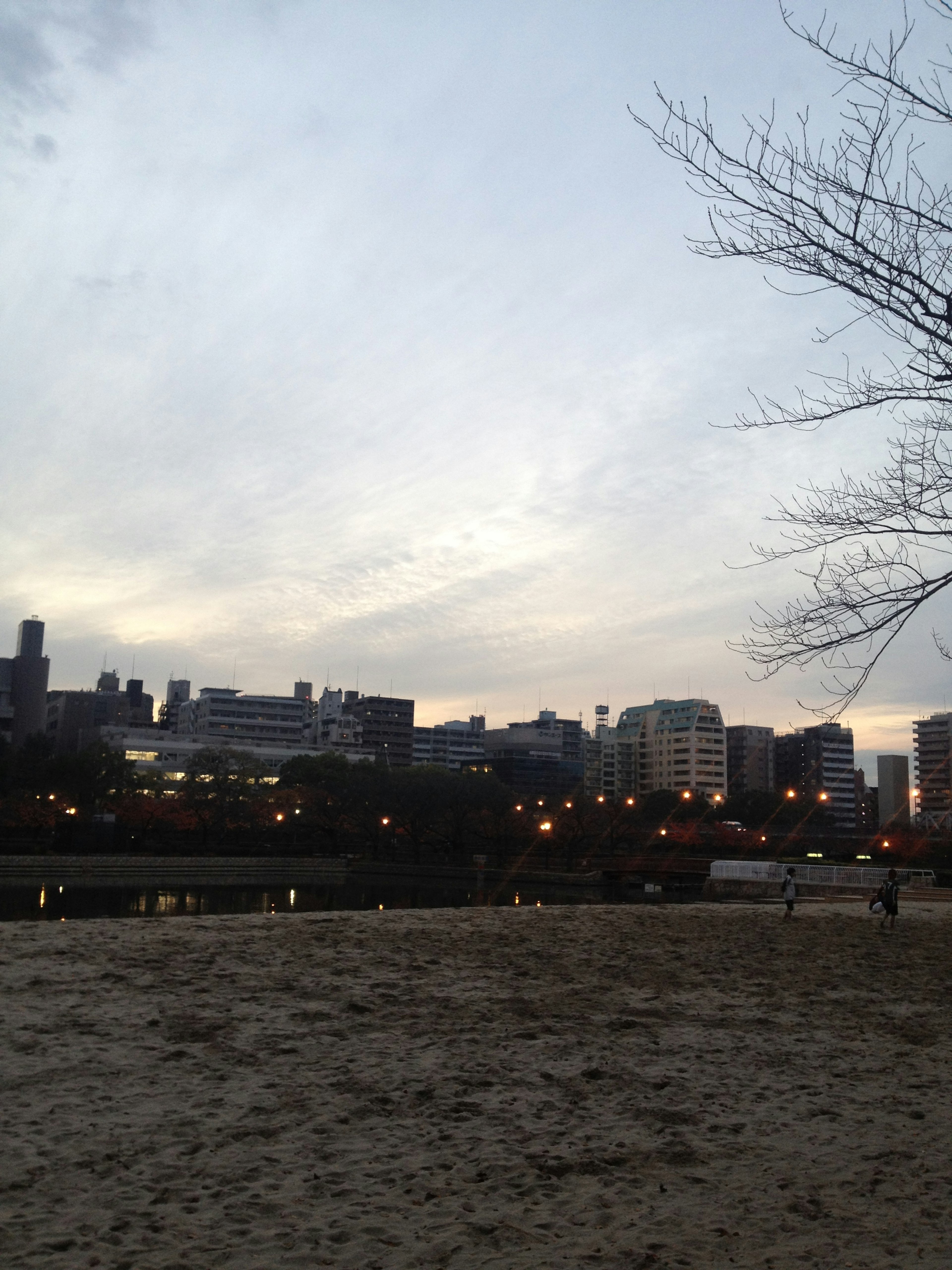 Vista al anochecer de un parque con horizonte urbano