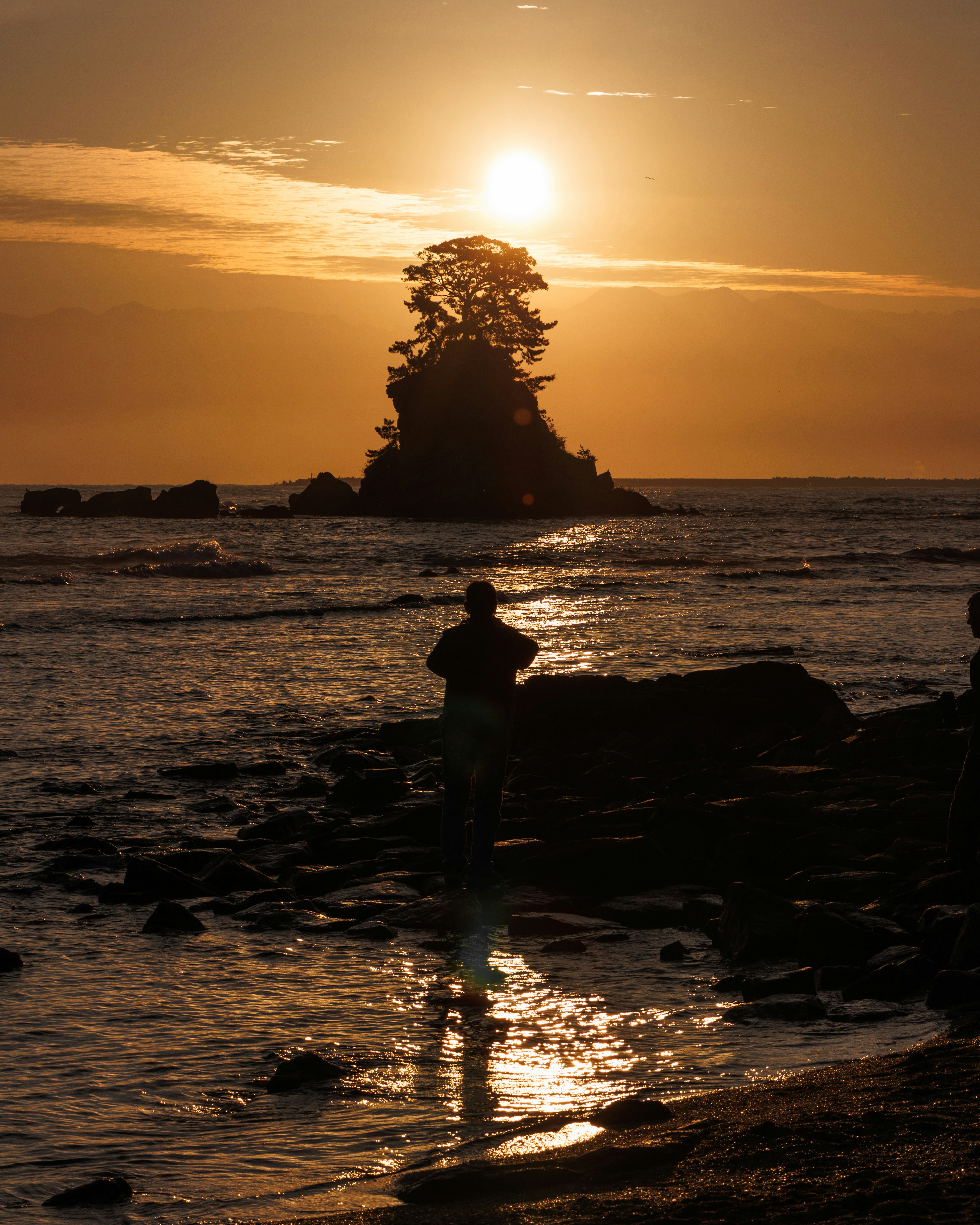 Silhouette di una persona al mare al tramonto con un albero su una roccia