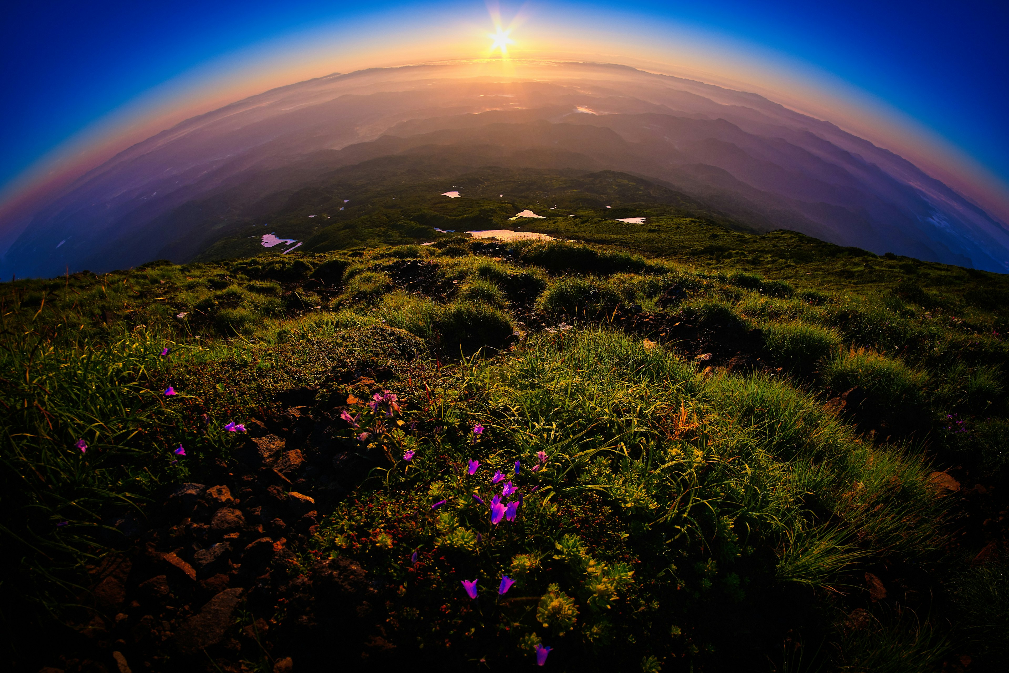 日出時的生機勃勃的山景，前景中有五彩繽紛的花朵