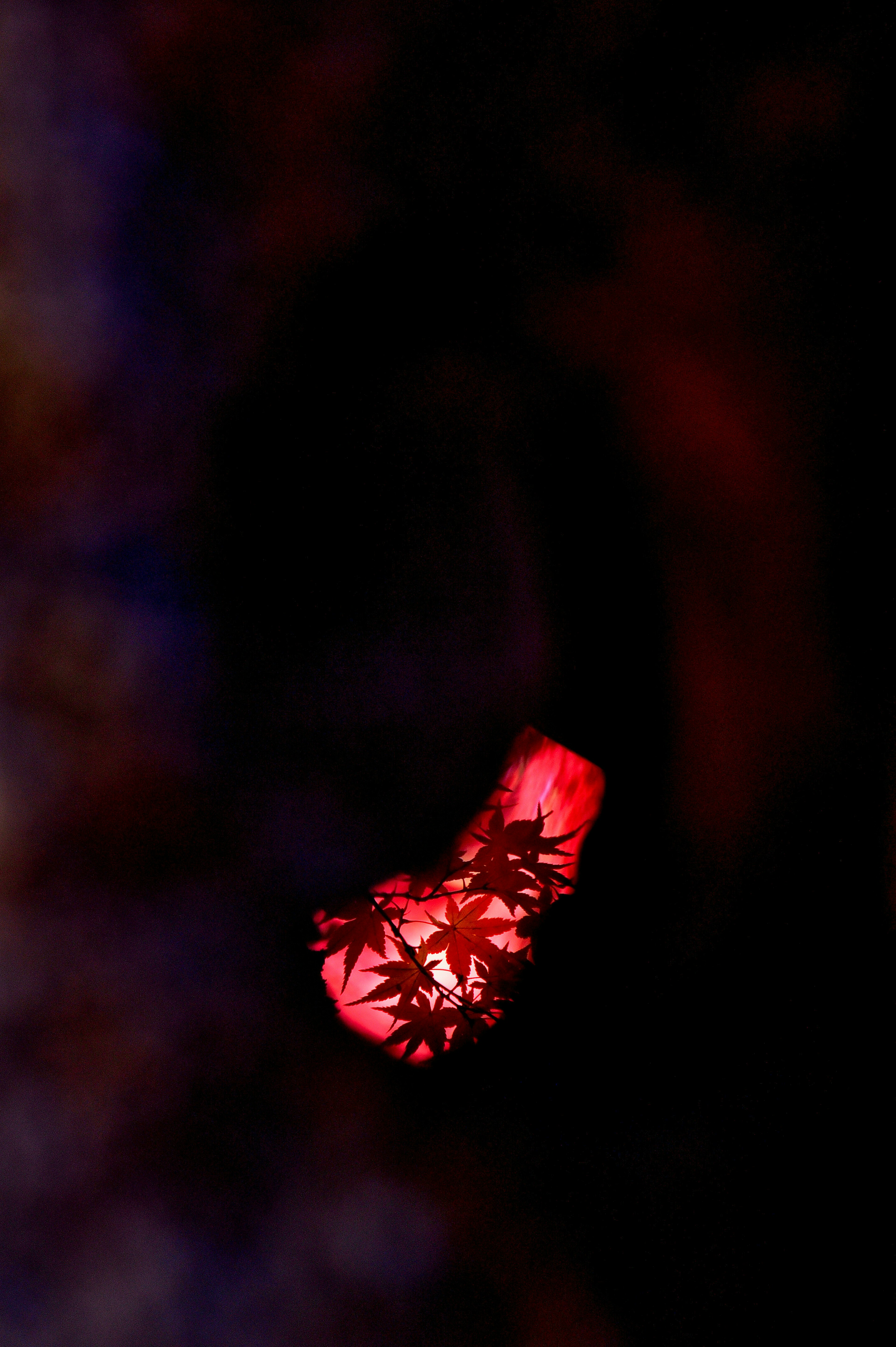 A glowing red object against a dark background featuring black leaf patterns