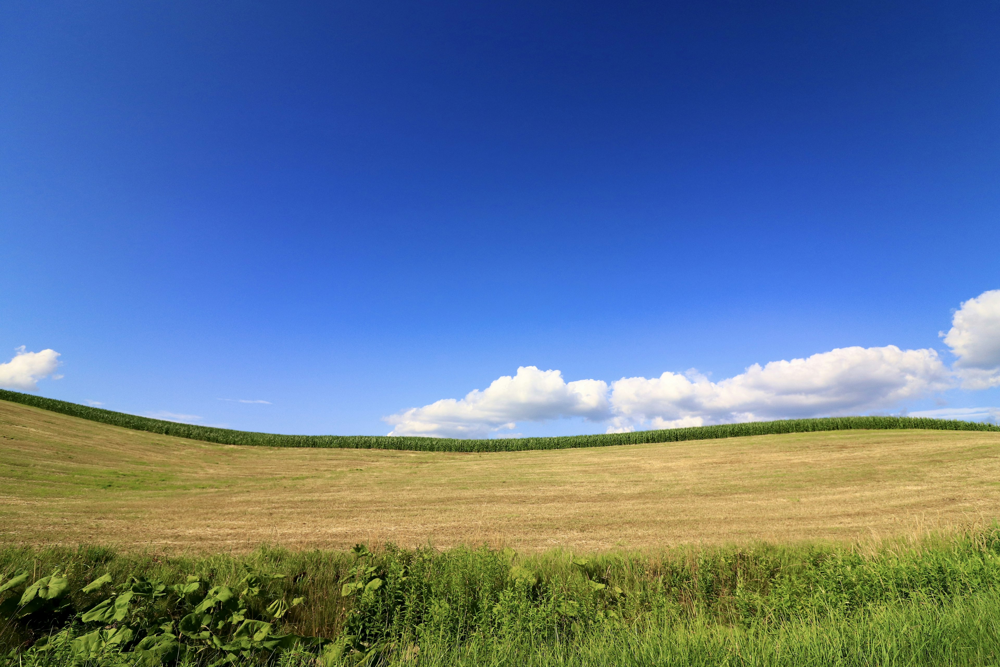 Paisaje con cielo azul y nubes sobre colinas verdes