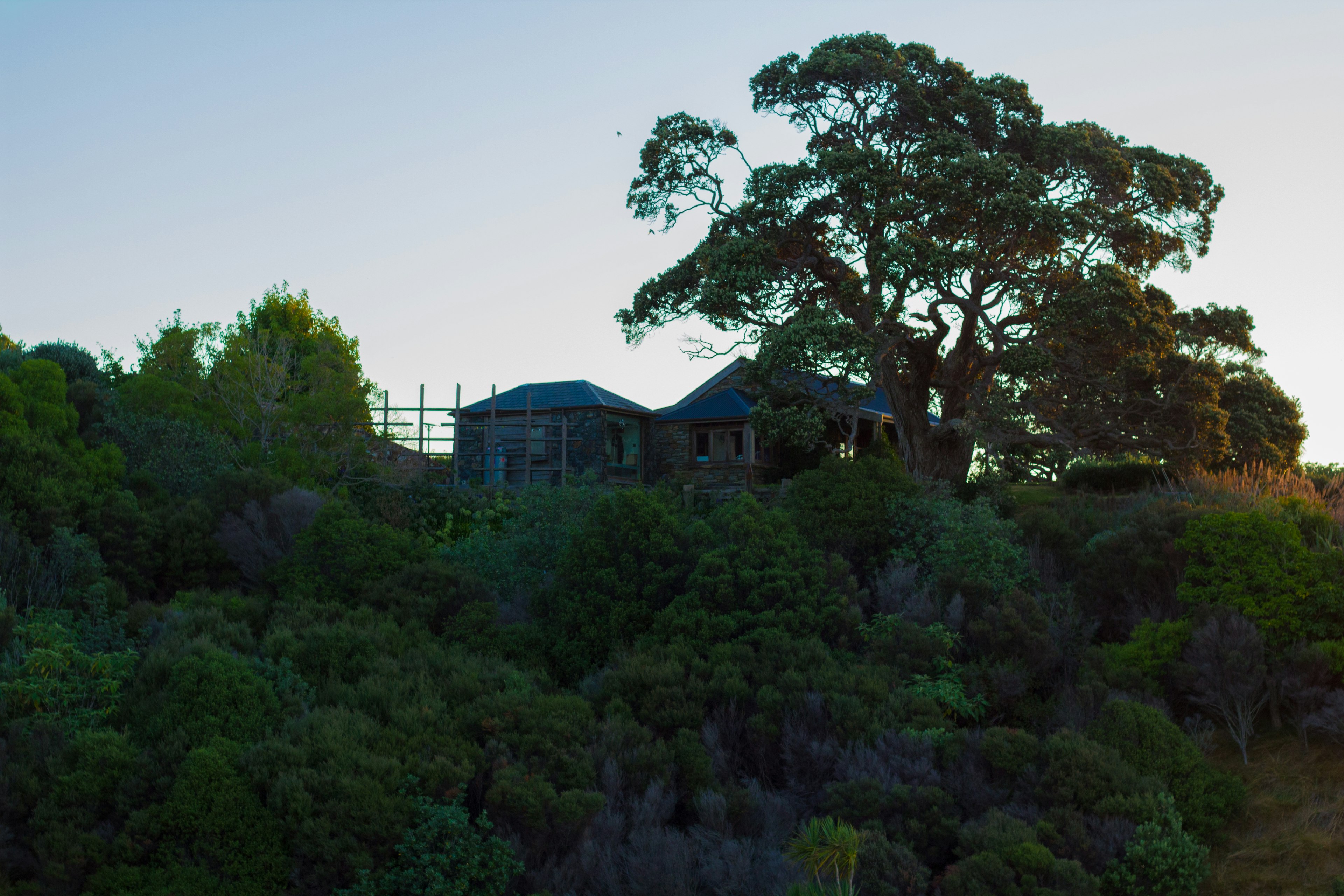 Una casa su una collina circondata da vegetazione con un grande albero