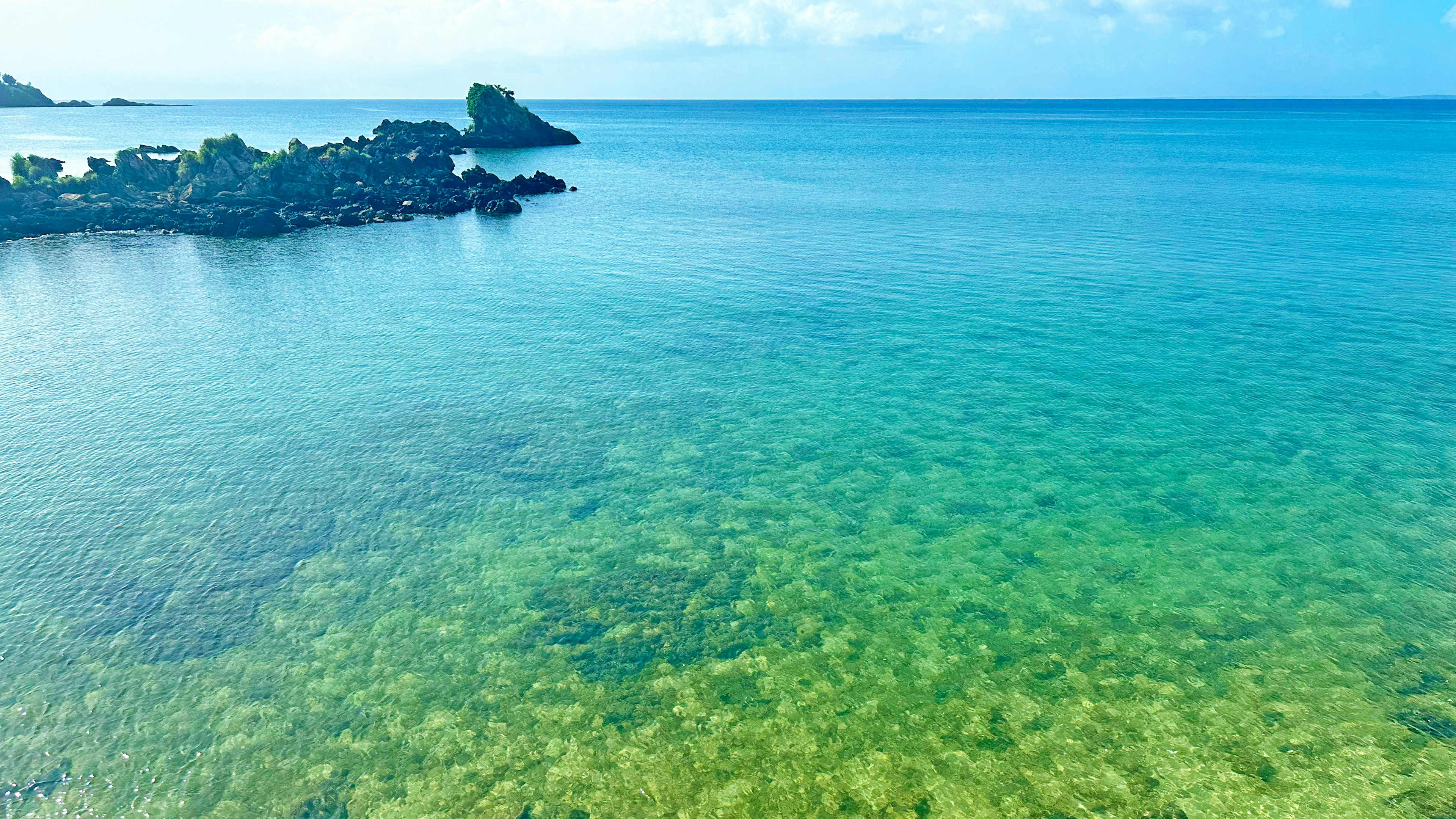 Beautiful beach scene with blue sea and green underwater vegetation