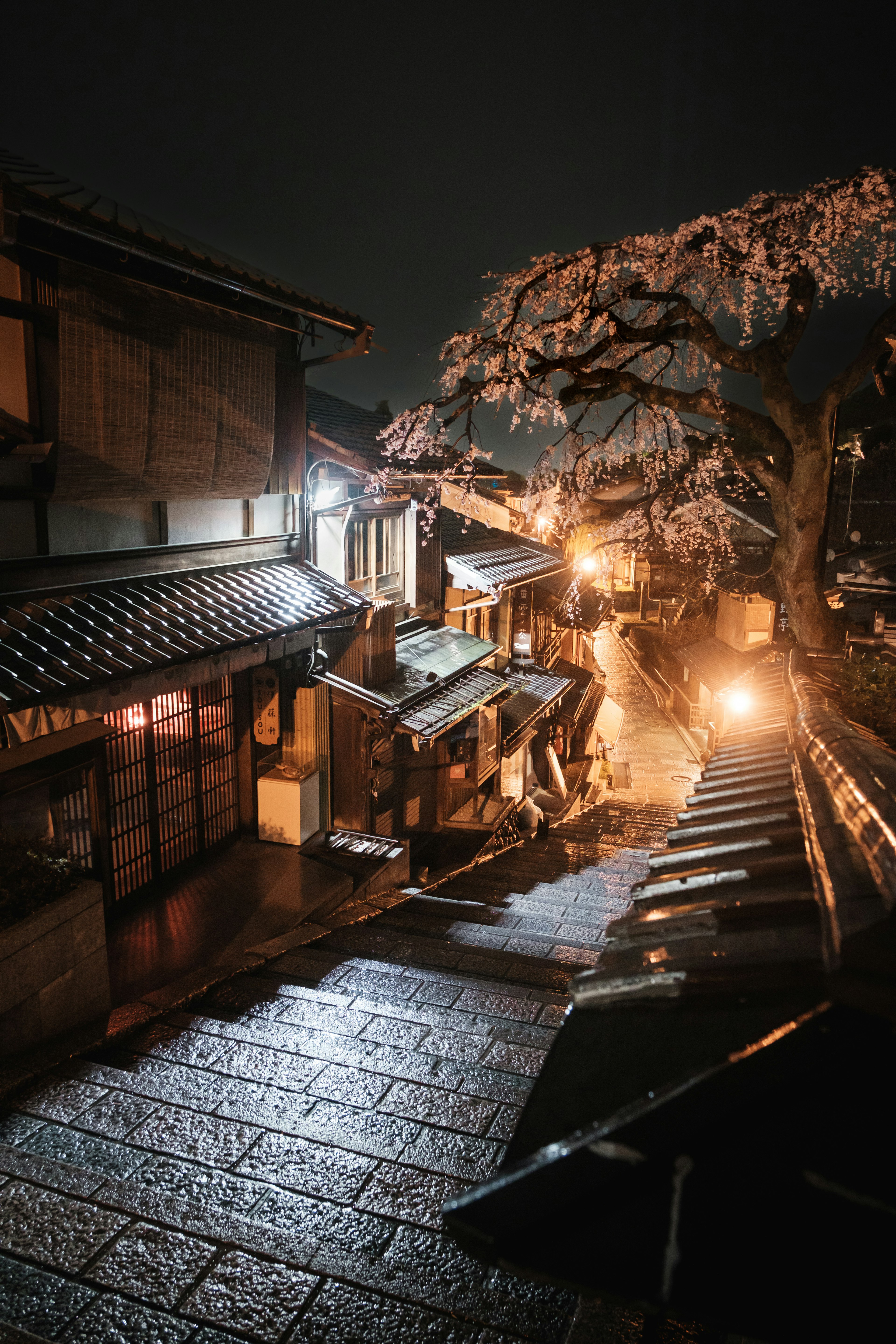 Vista nocturna de escaleras de piedra y un cerezo en Kioto