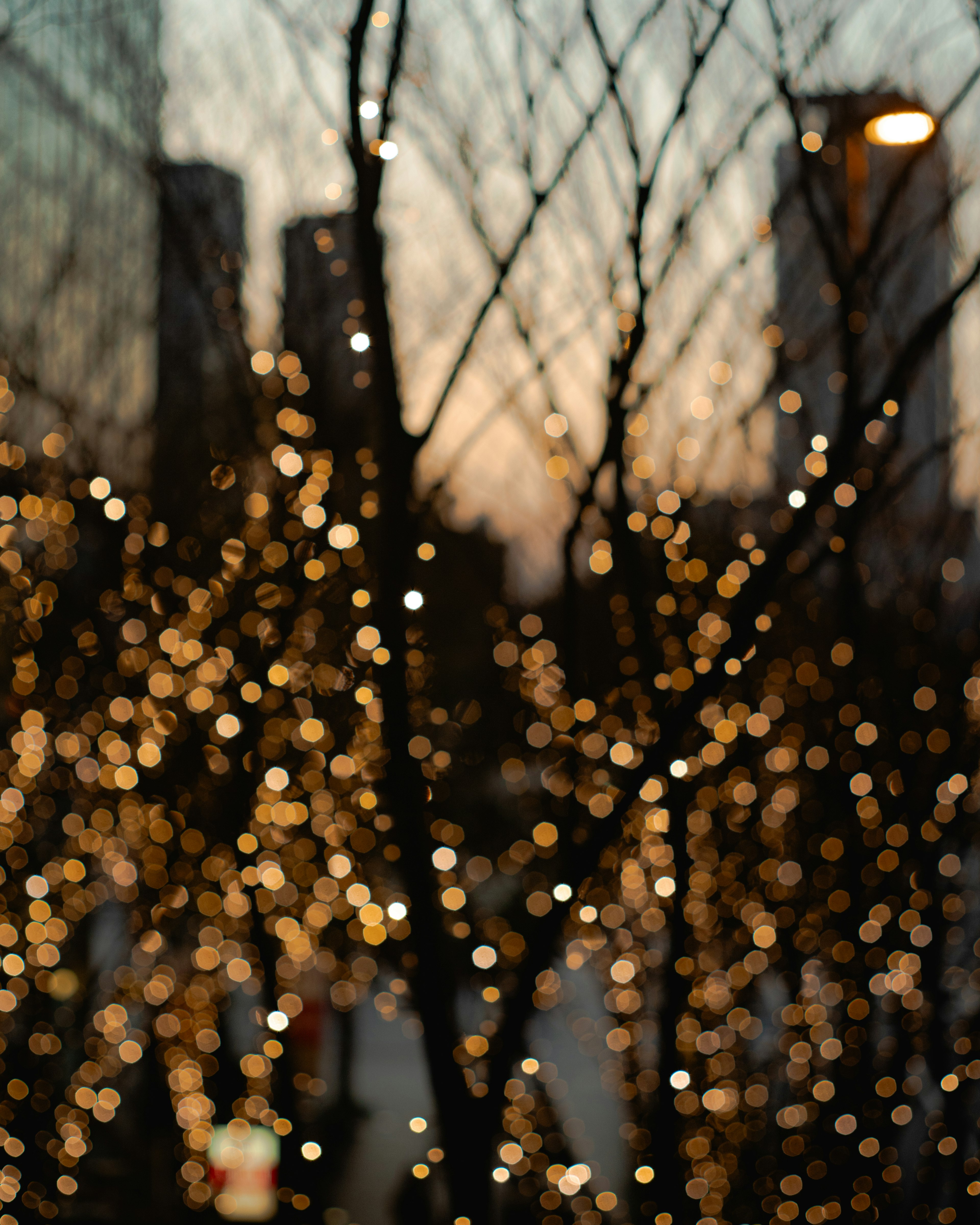 Blurred background featuring illuminated trees with city skyline silhouettes