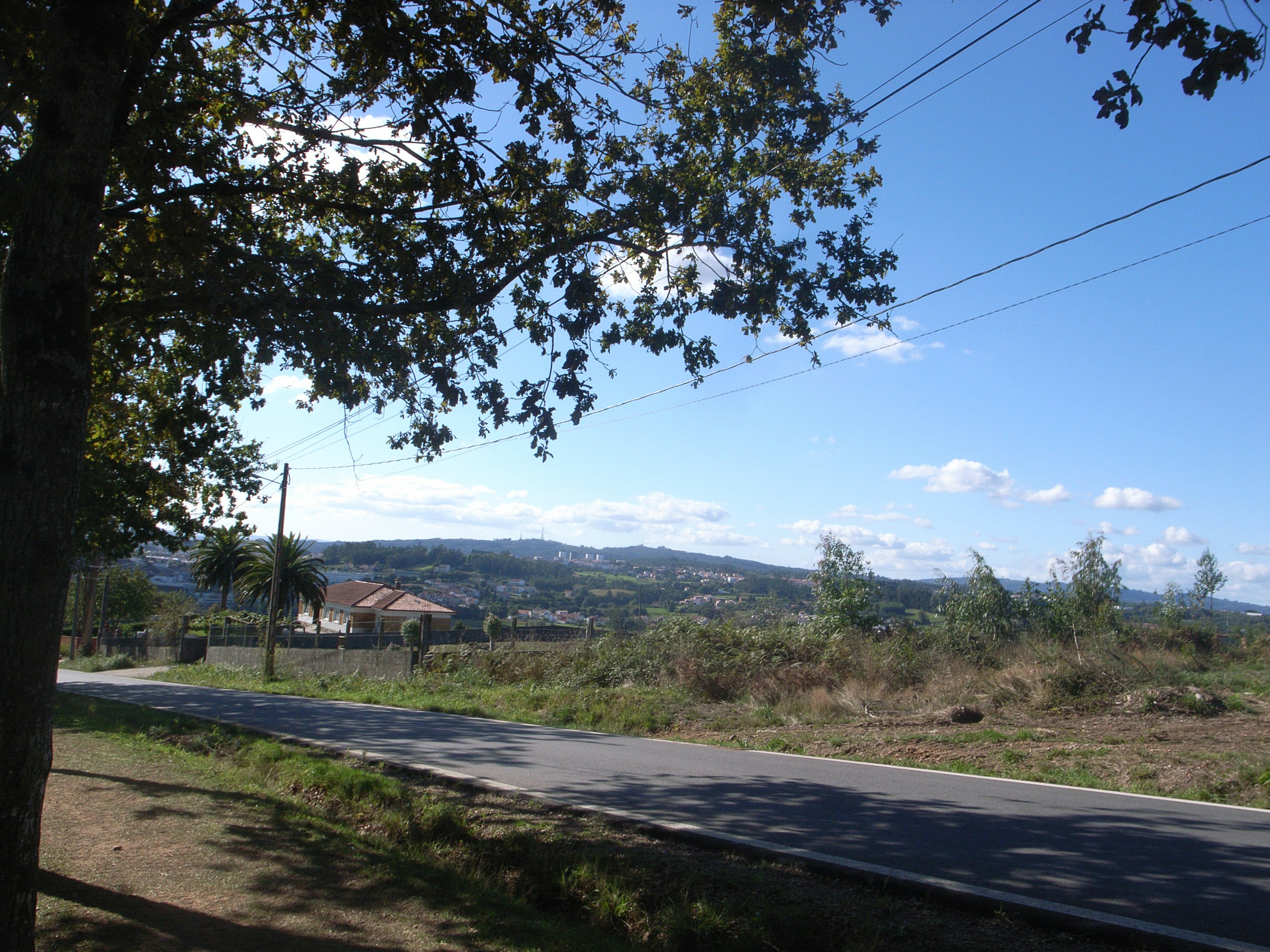 Straßenansicht mit Bäumen und einer fernen Landschaft unter blauem Himmel