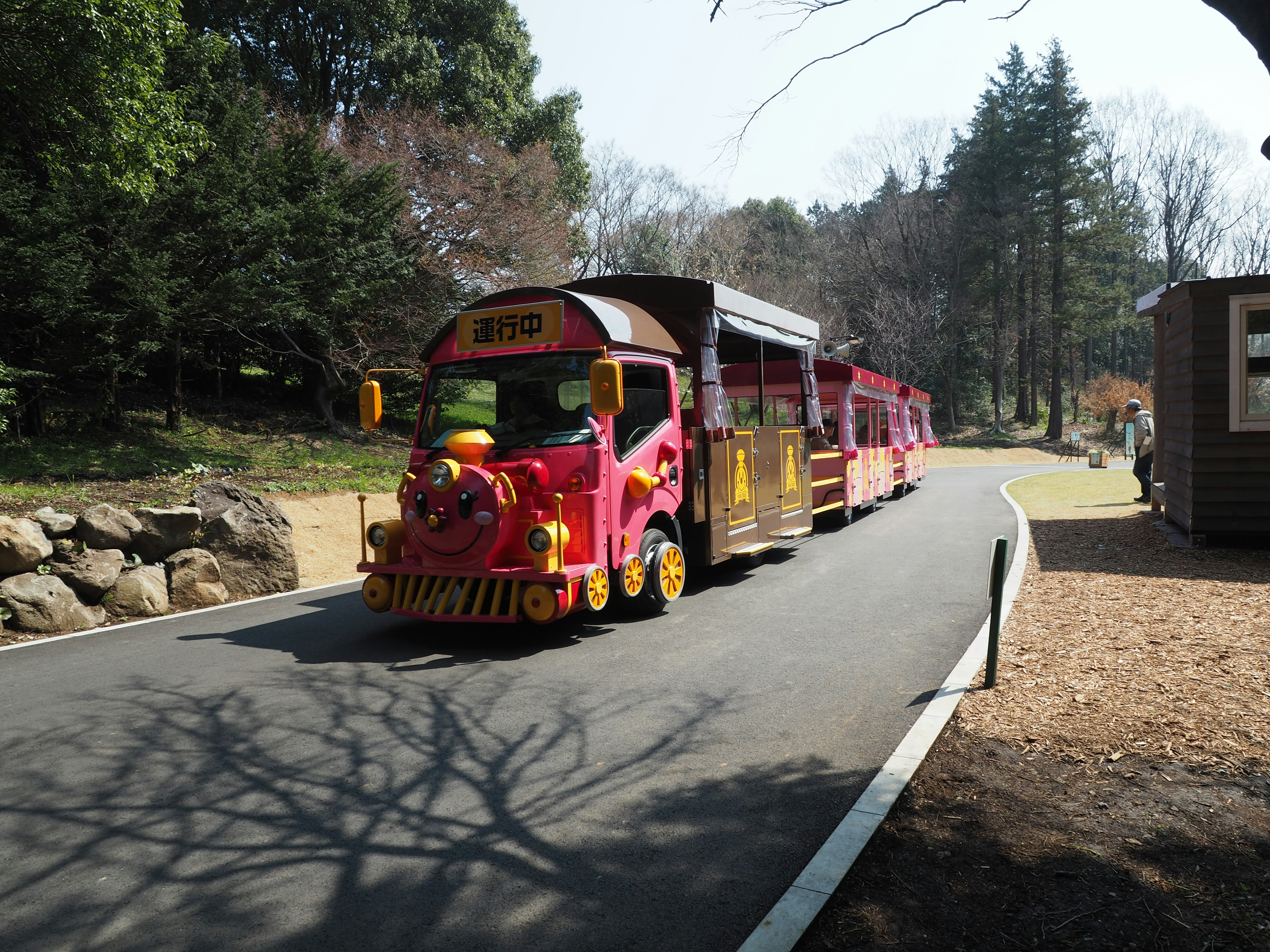 Colorful train traveling along a park path