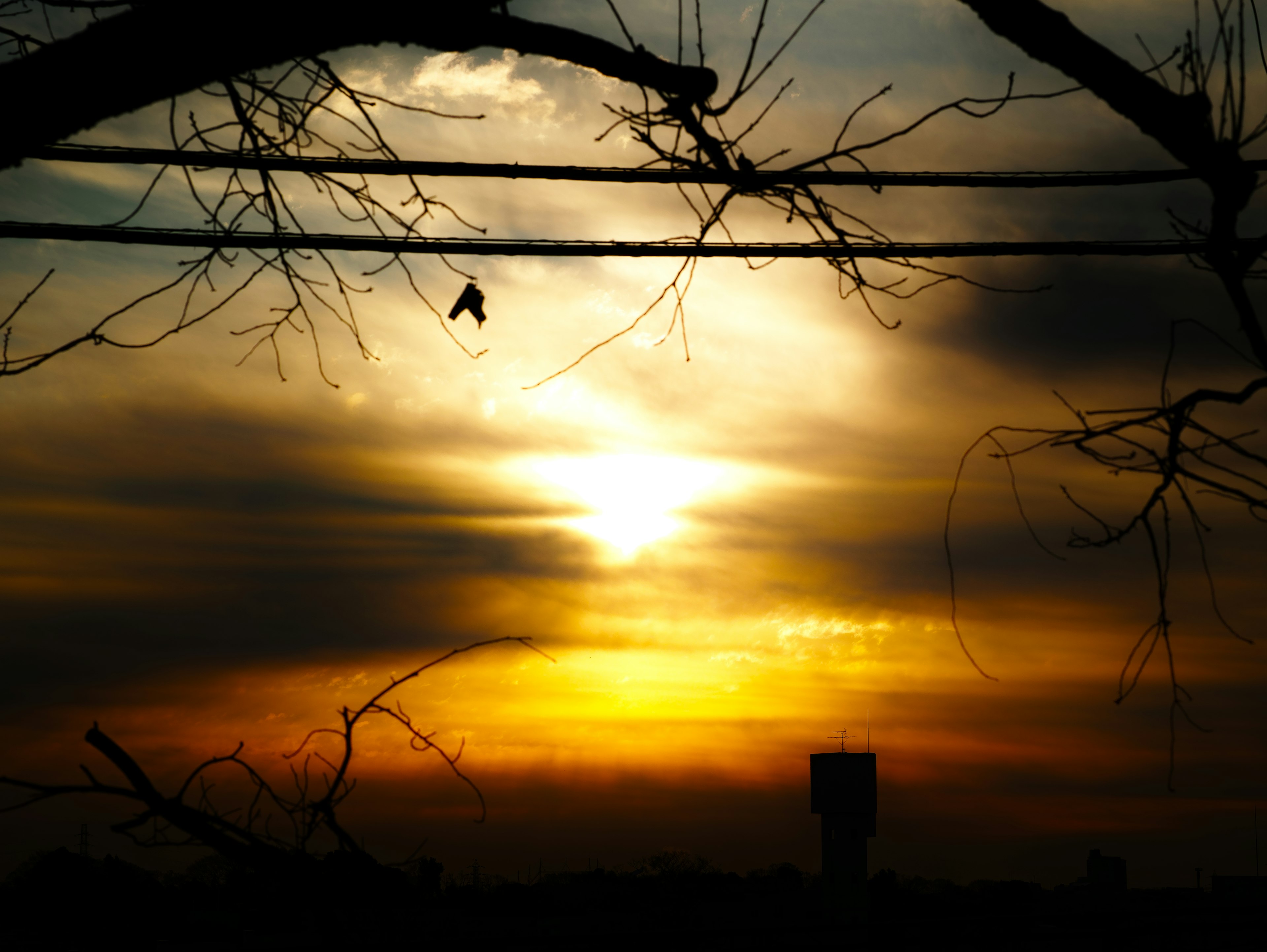 Silhouette des Sonnenuntergangs und der Wolken mit Ästen, die den Himmel kreuzen