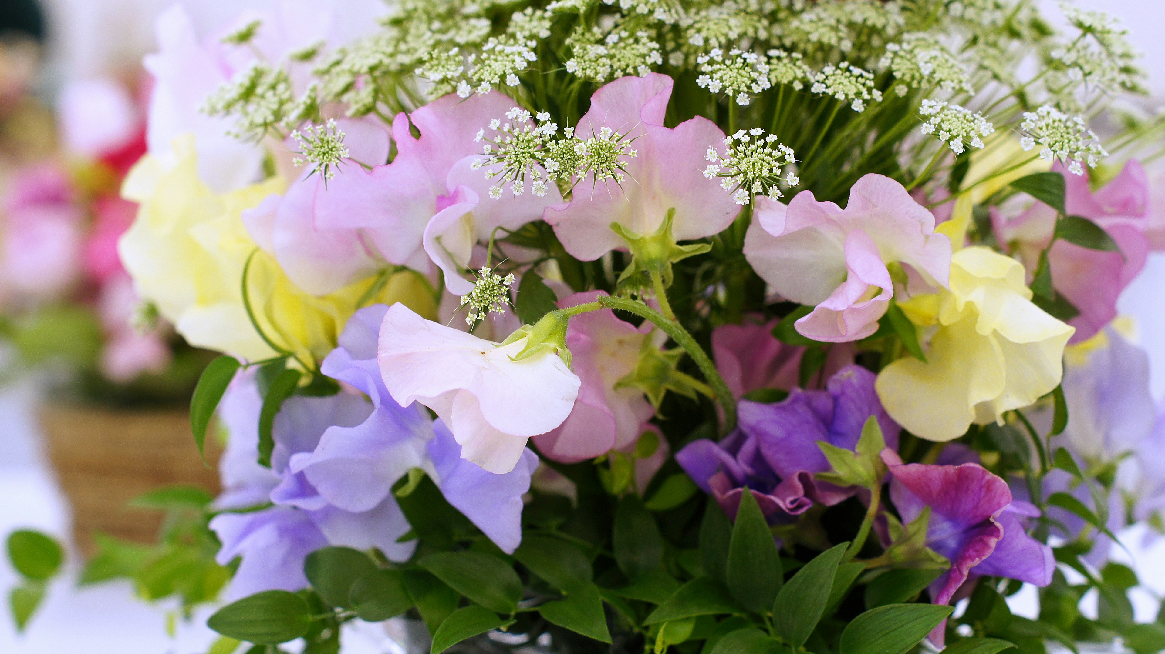 Acercamiento a un ramo de flores coloridas con tonos pastel