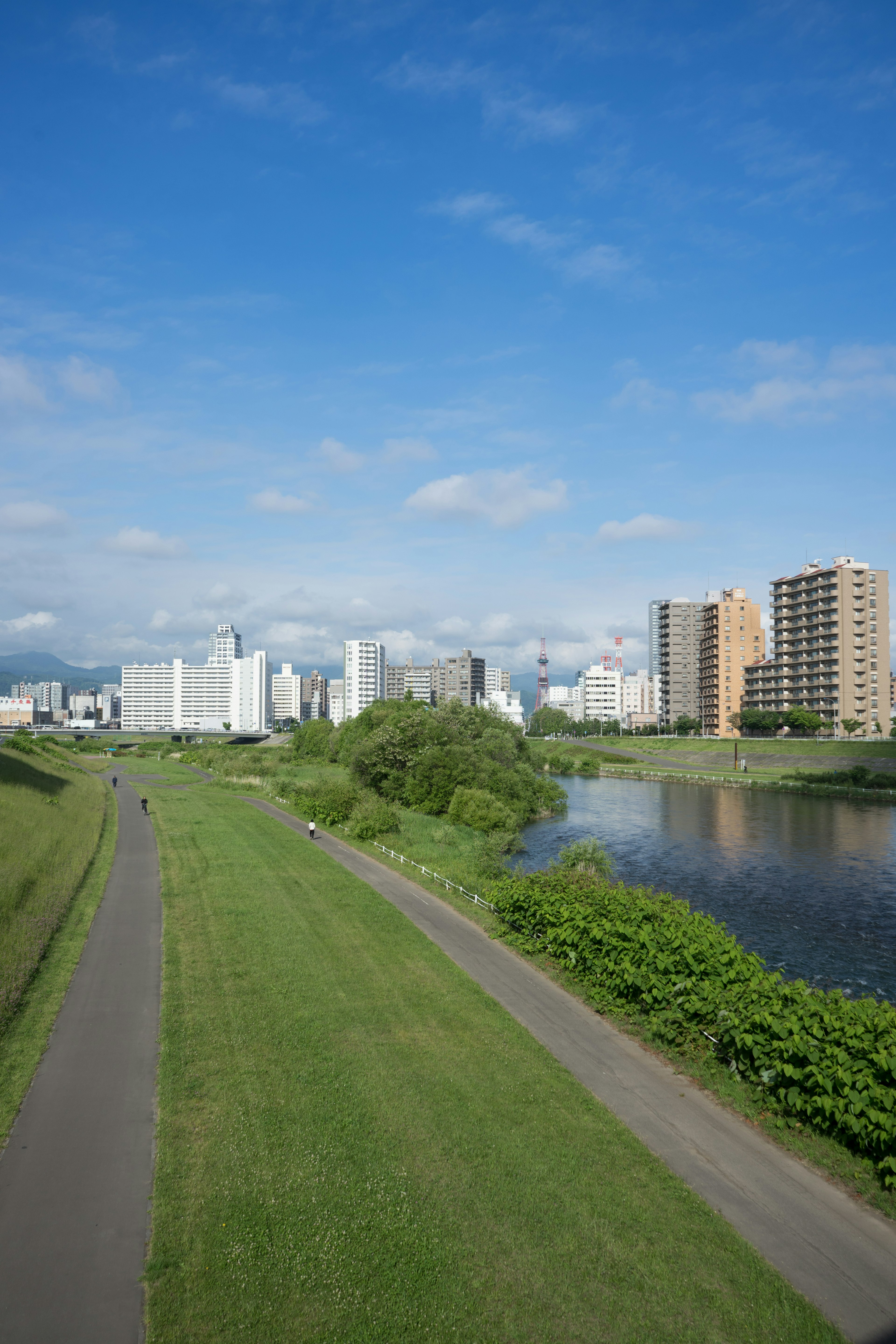 青空の下に広がる川と都市の景観 緑の草地と近代的な建物が並ぶ