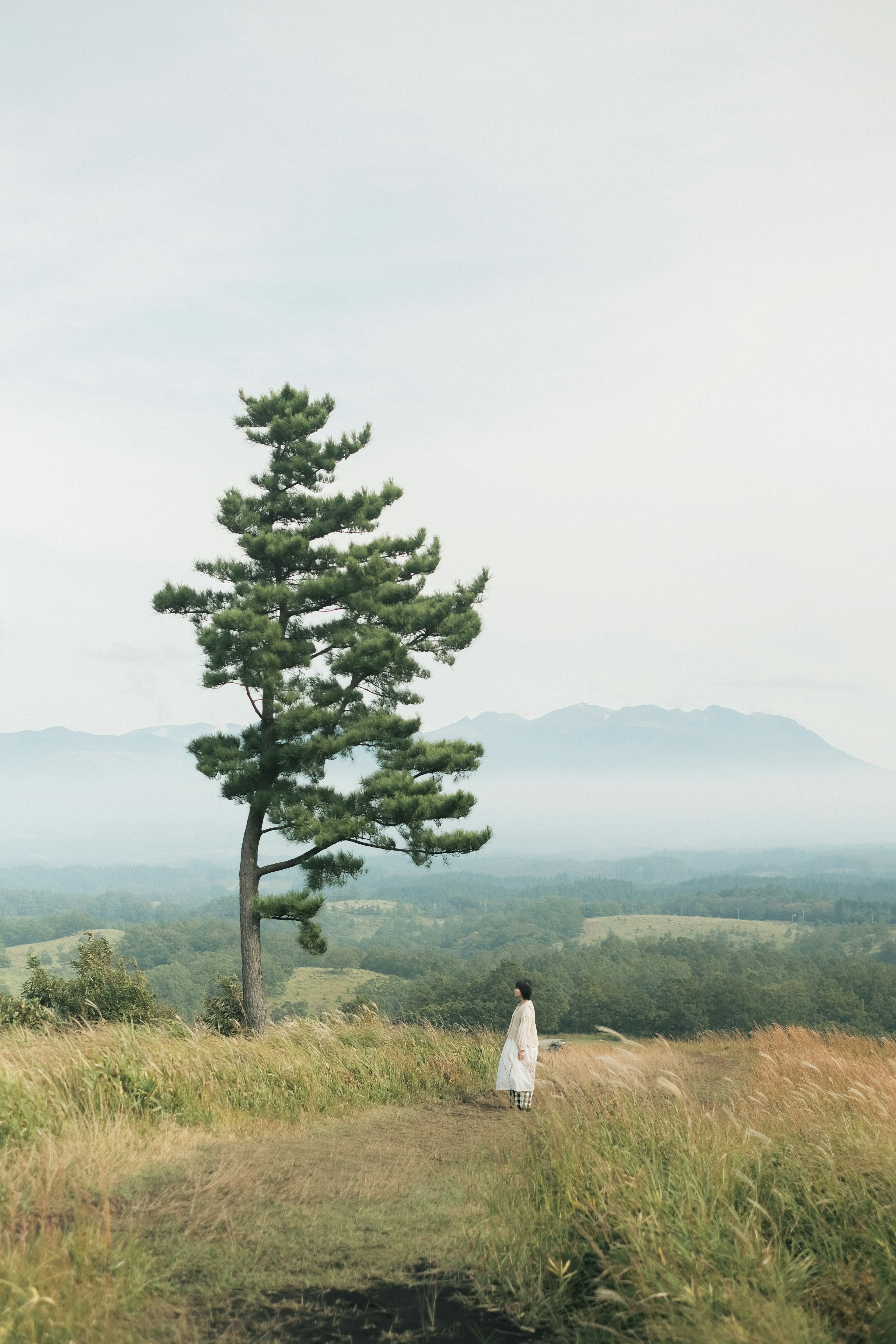 A woman walking in a serene landscape with a tall tree