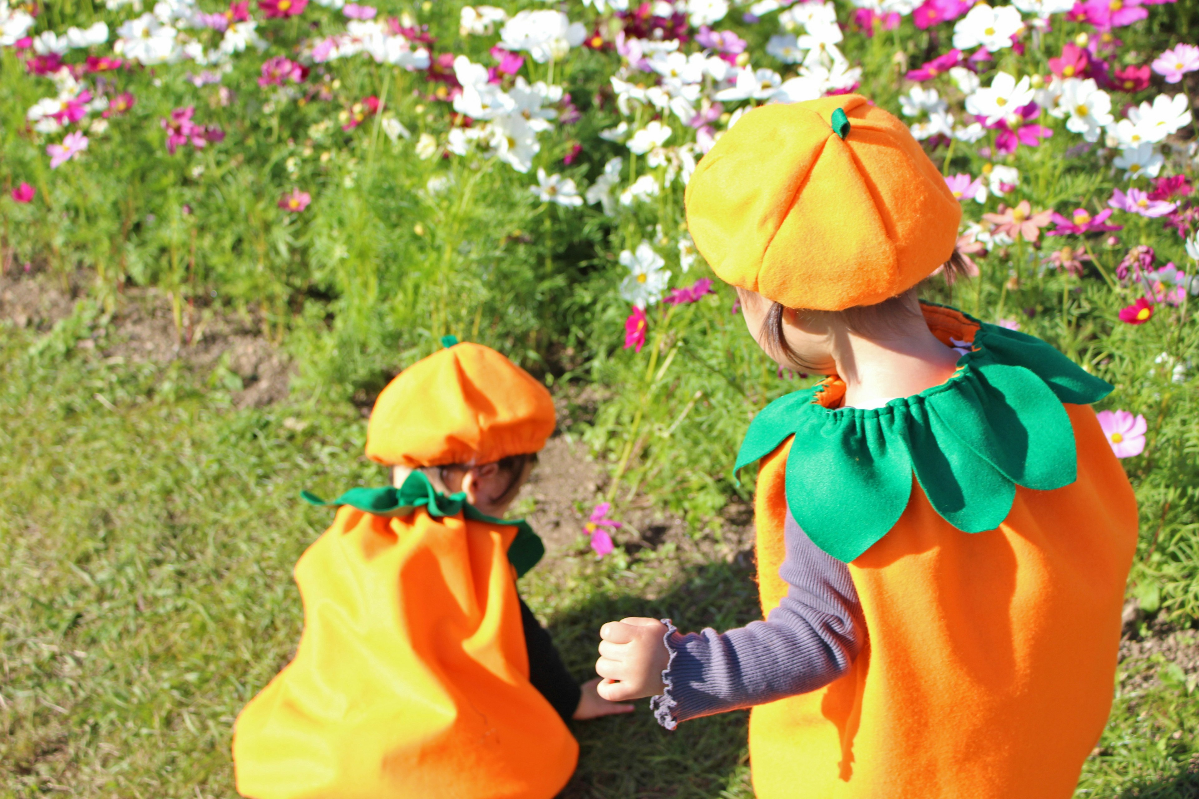 Niños vestidos con disfraces de calabaza naranja caminando frente a flores