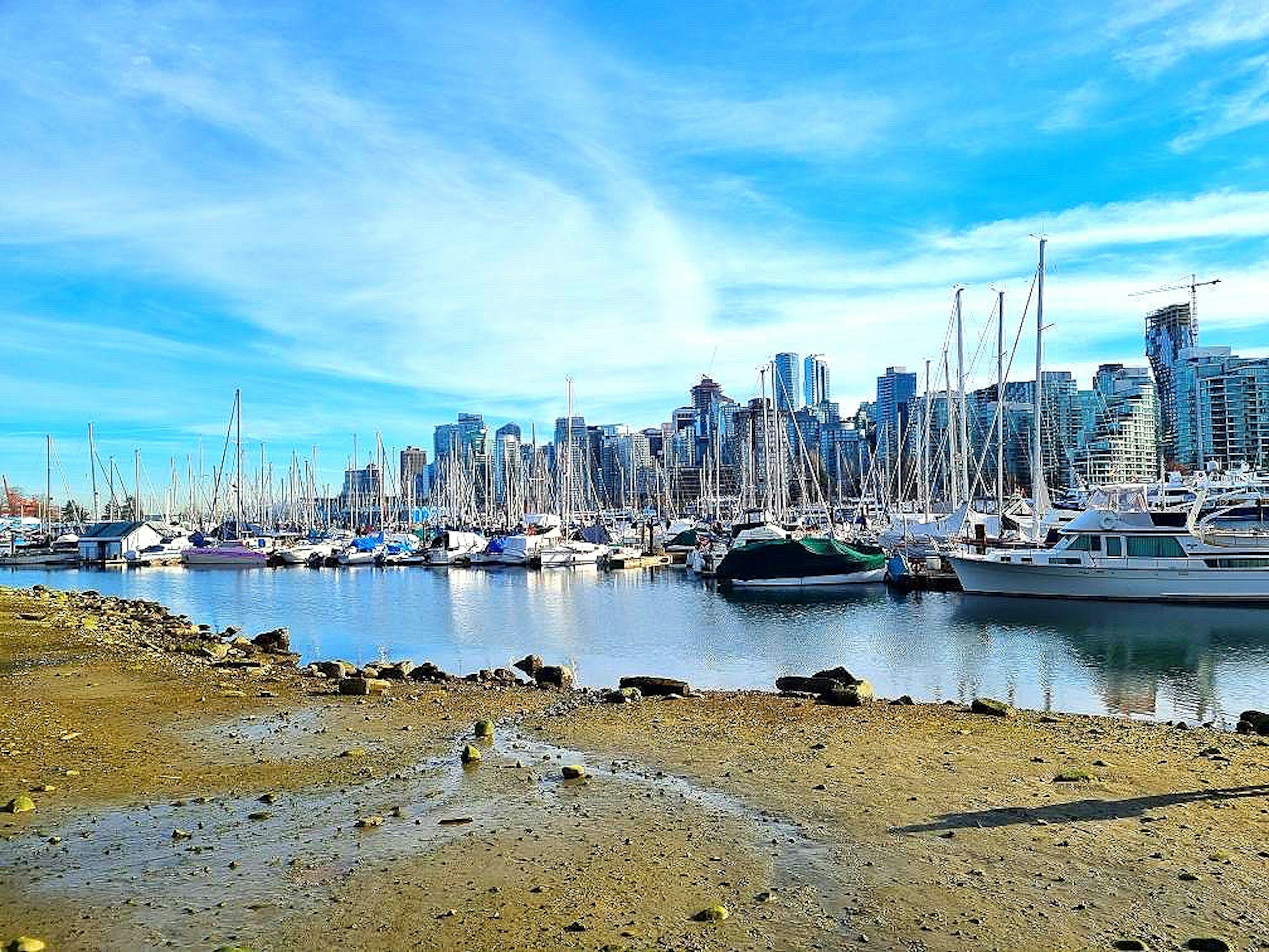 Vancouver shoreline featuring yachts and skyscrapers