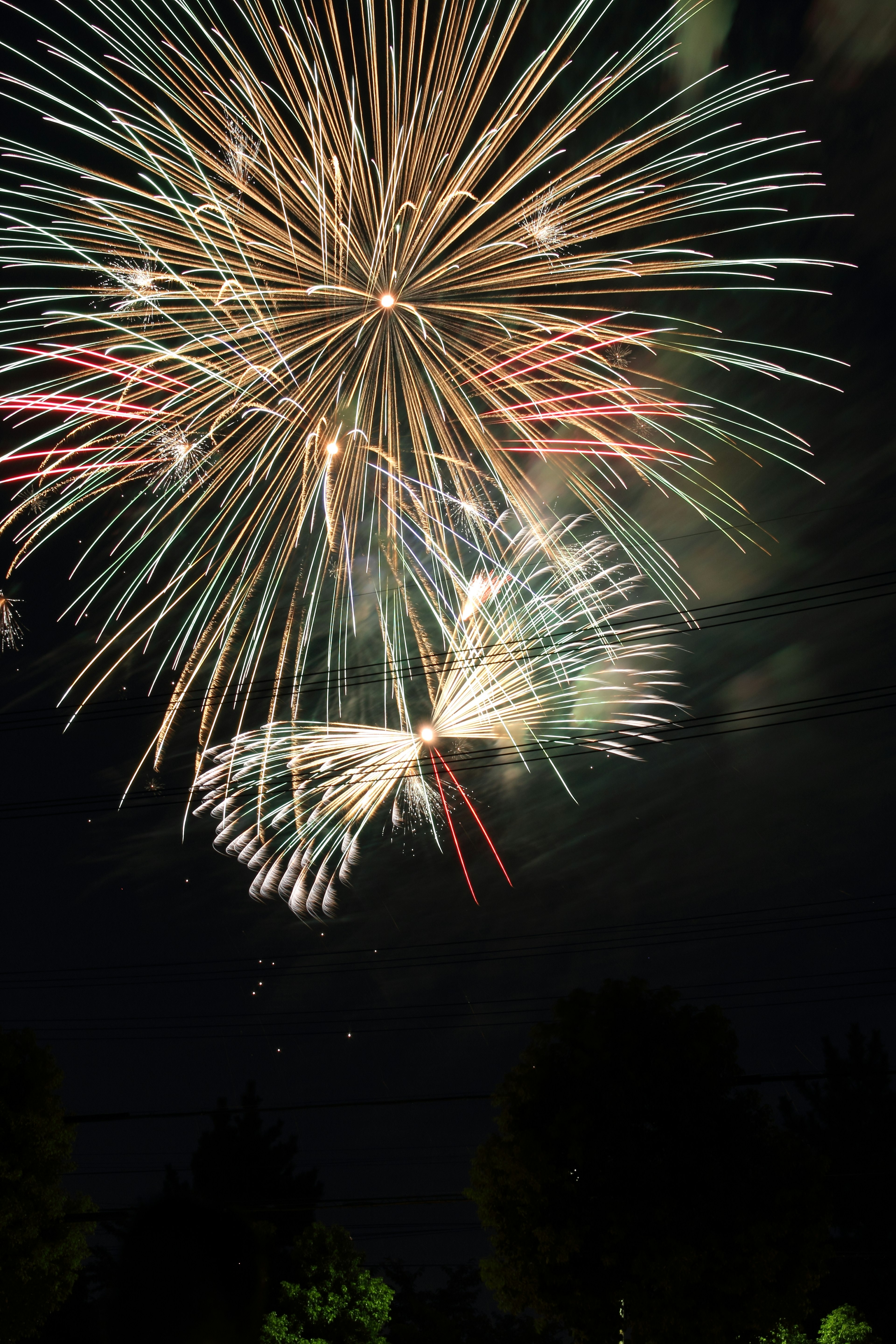 Spectacle de feux d'artifice colorés illuminant le ciel nocturne