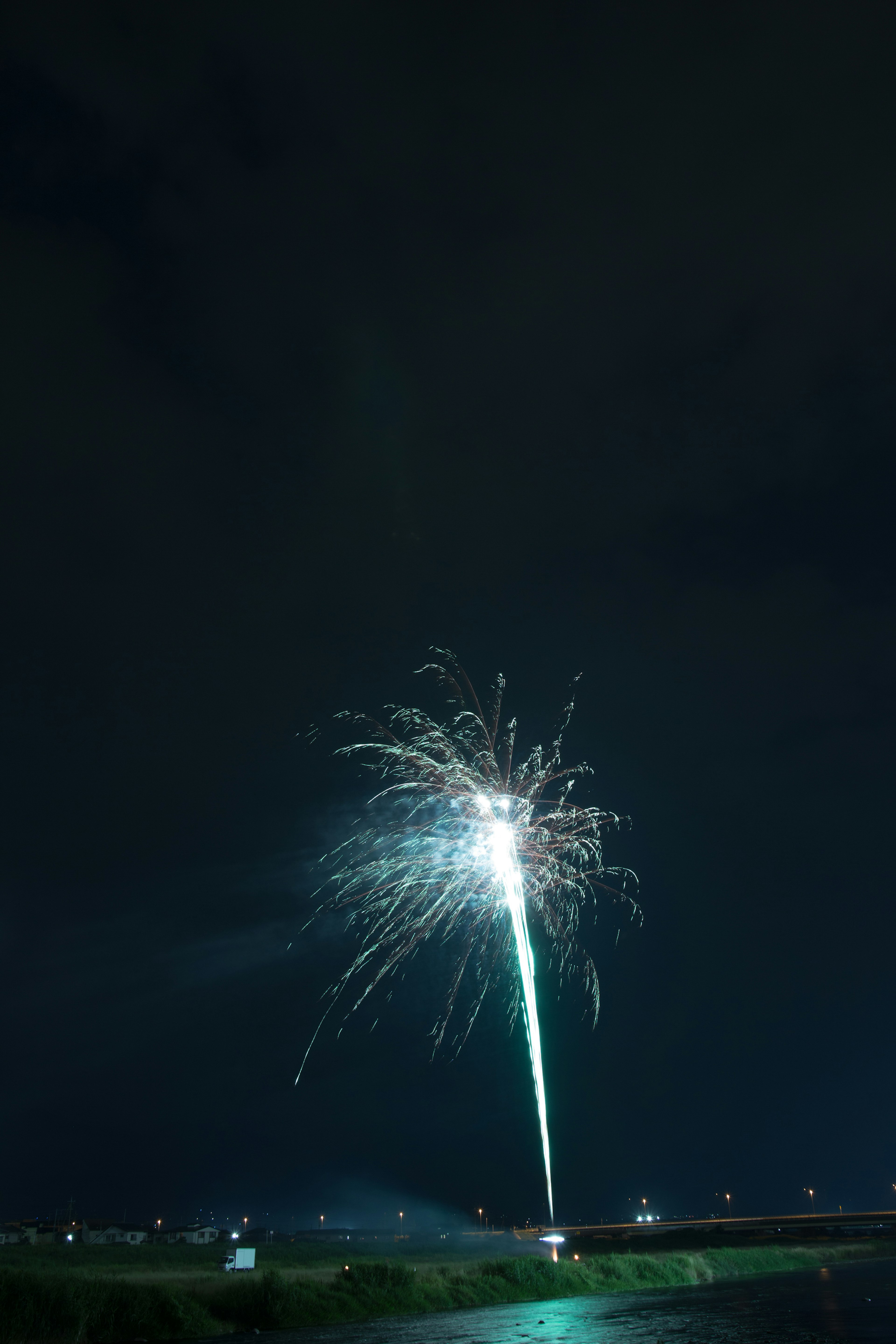 夜空に打ち上げられた花火が輝いている