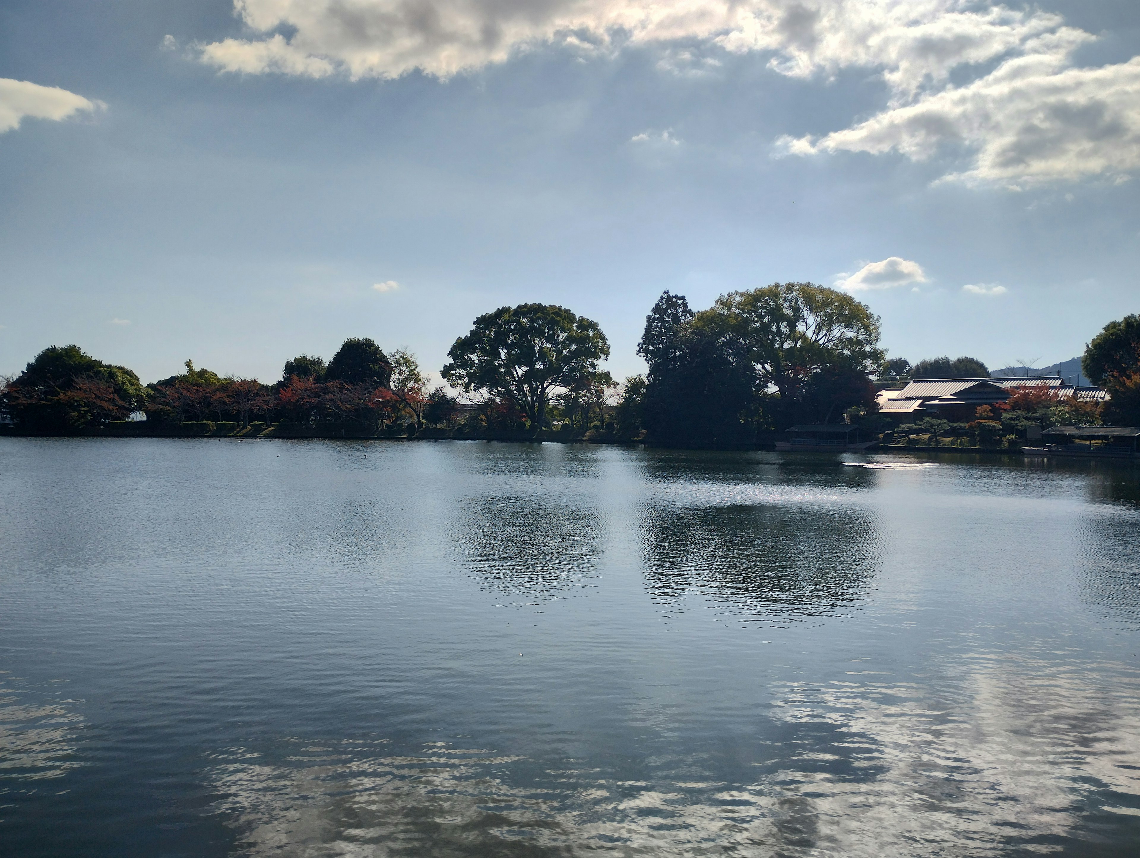 Danau tenang yang memantulkan pohon dan langit biru