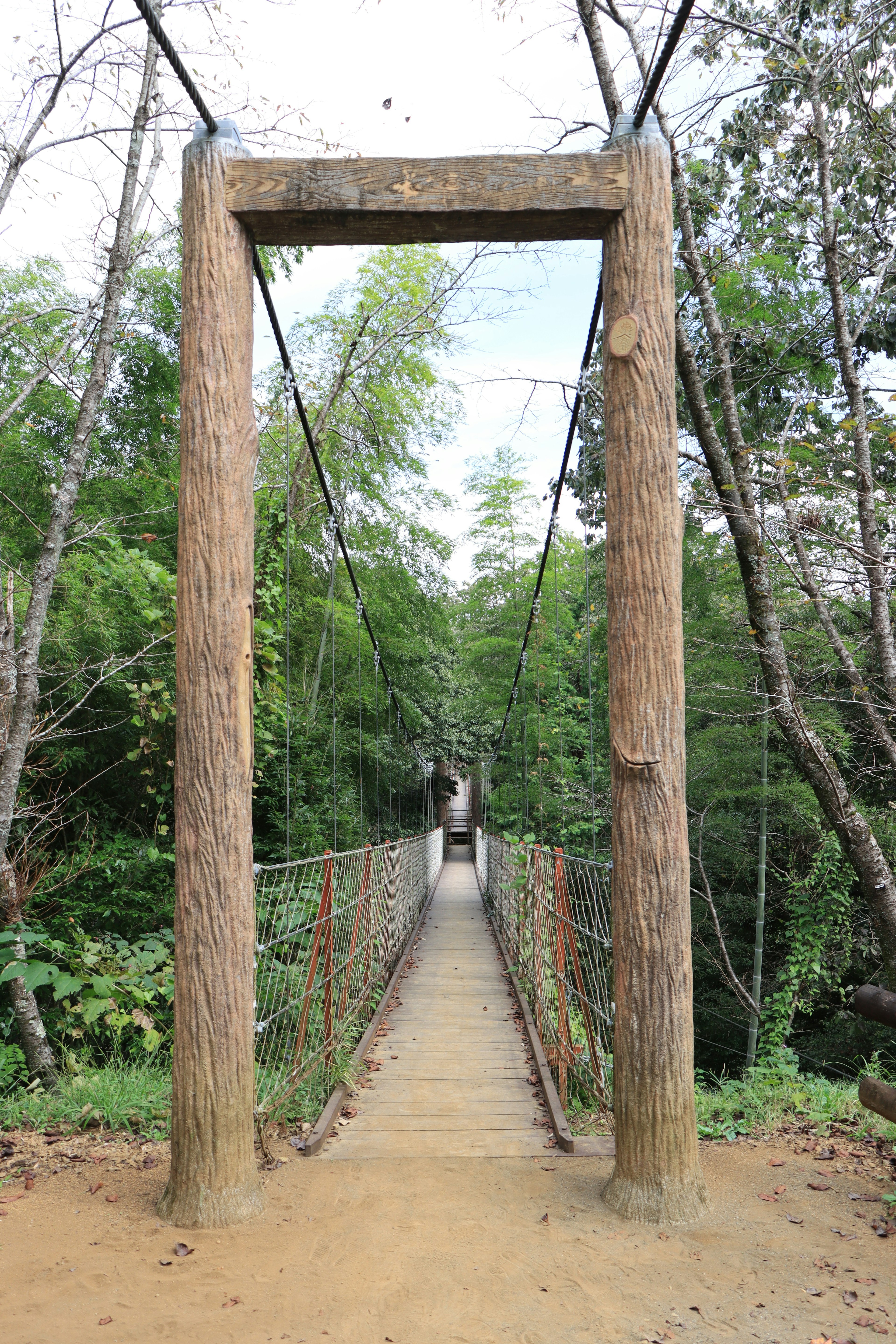 Wooden suspension bridge leading into lush green forest