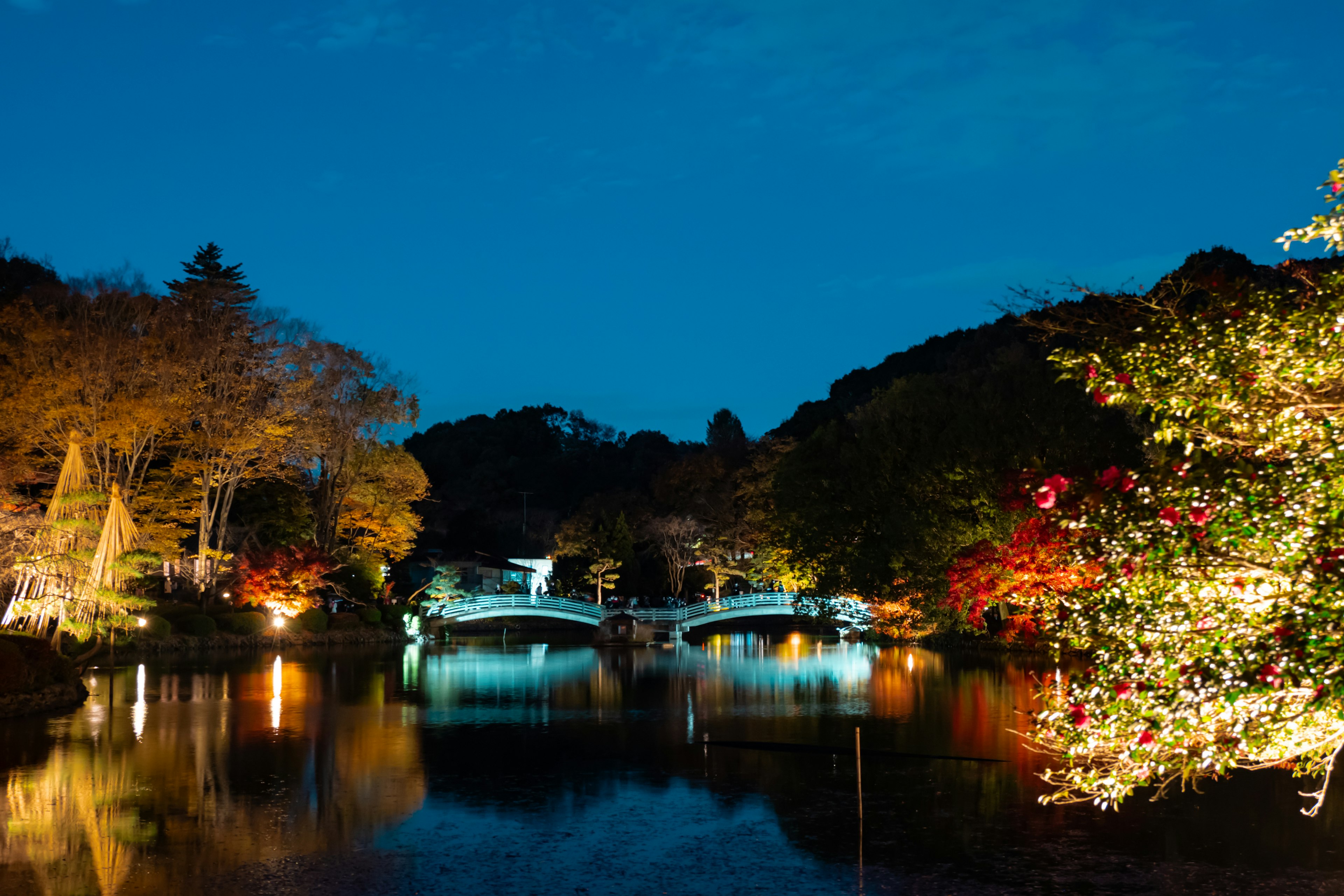 Night view of a park pond with illuminated bridge and autumn foliage