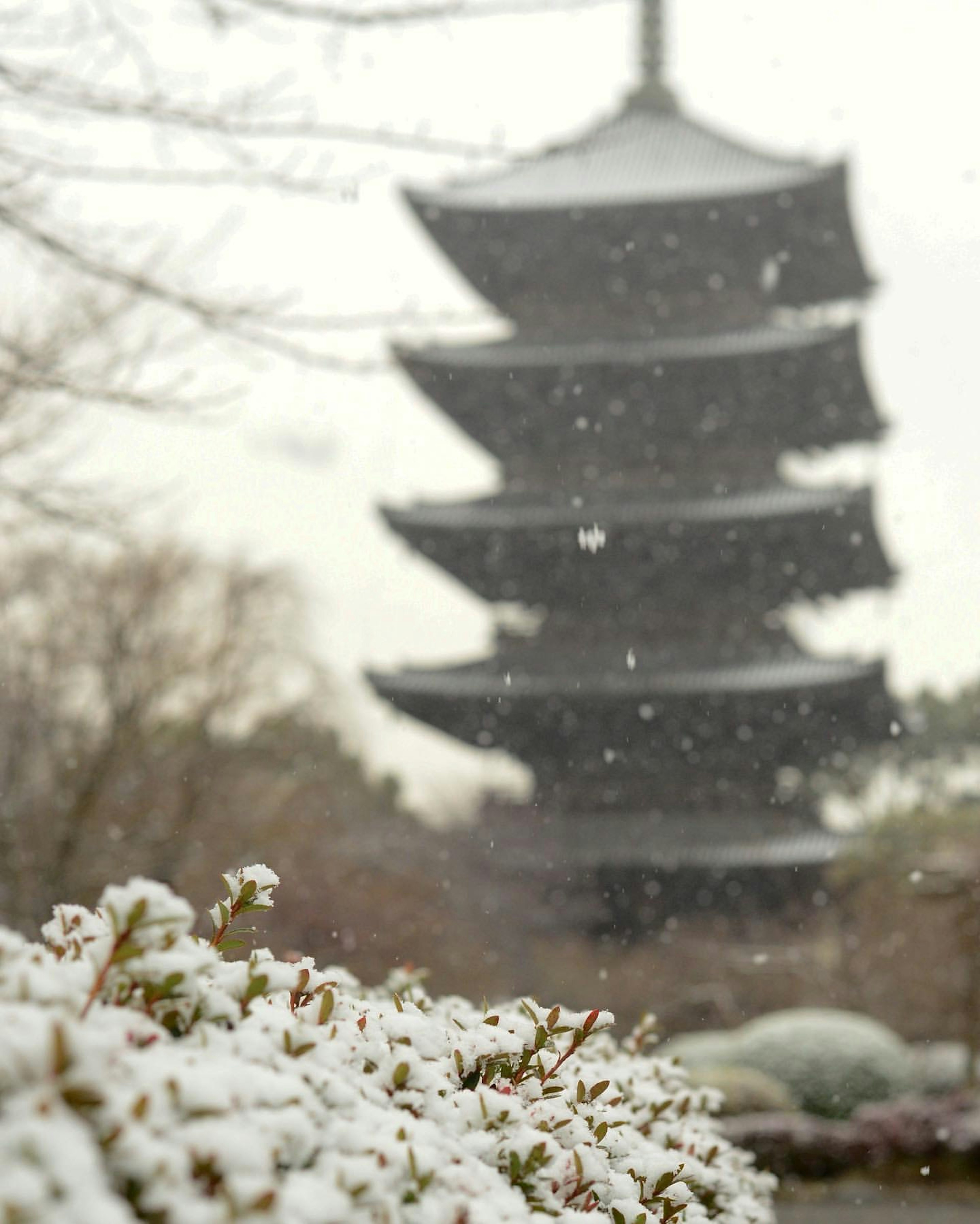 Escena nevada con una pagoda y flores blancas en primer plano