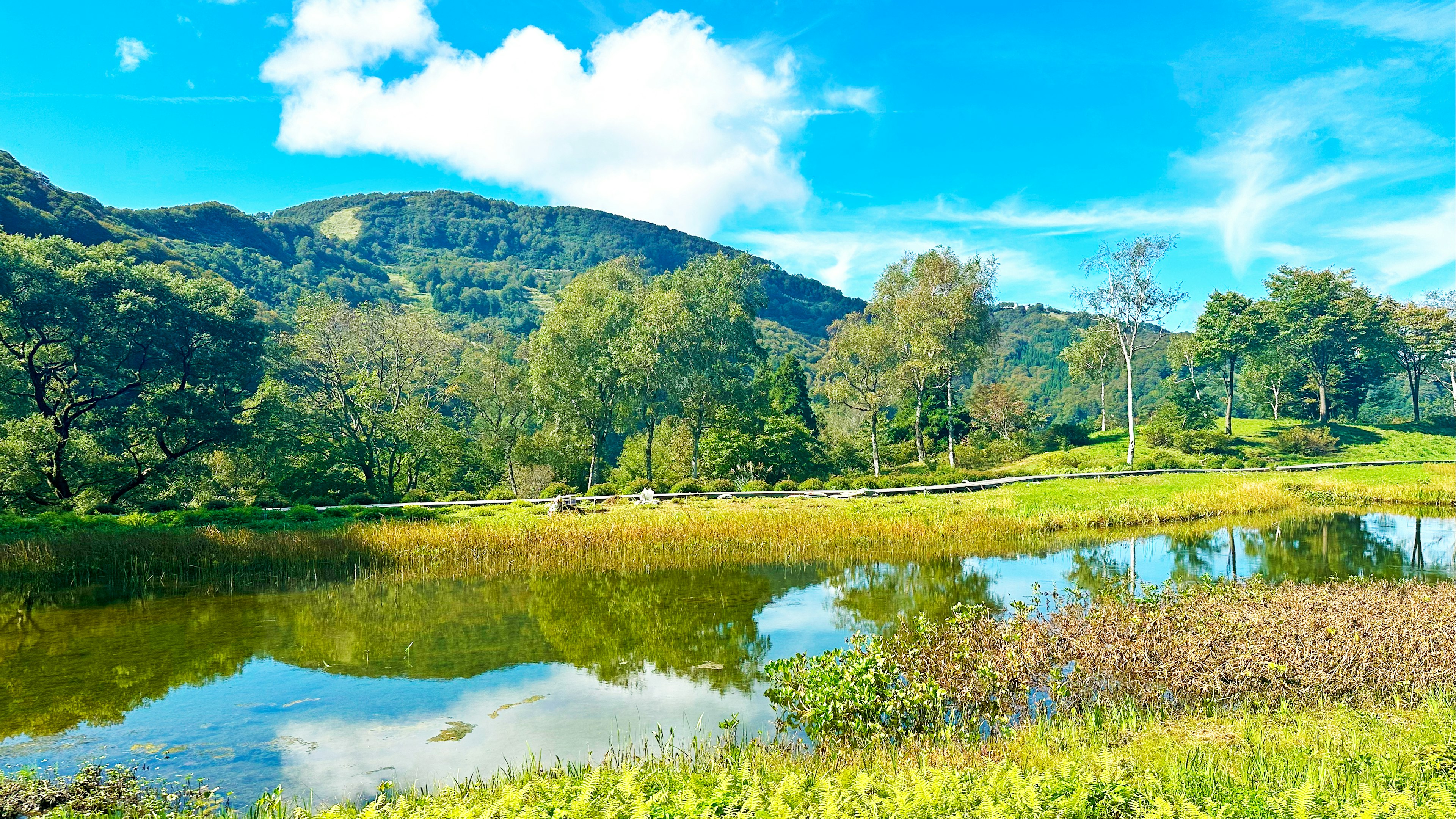 青空と緑豊かな山々を背景にした静かな湖の風景