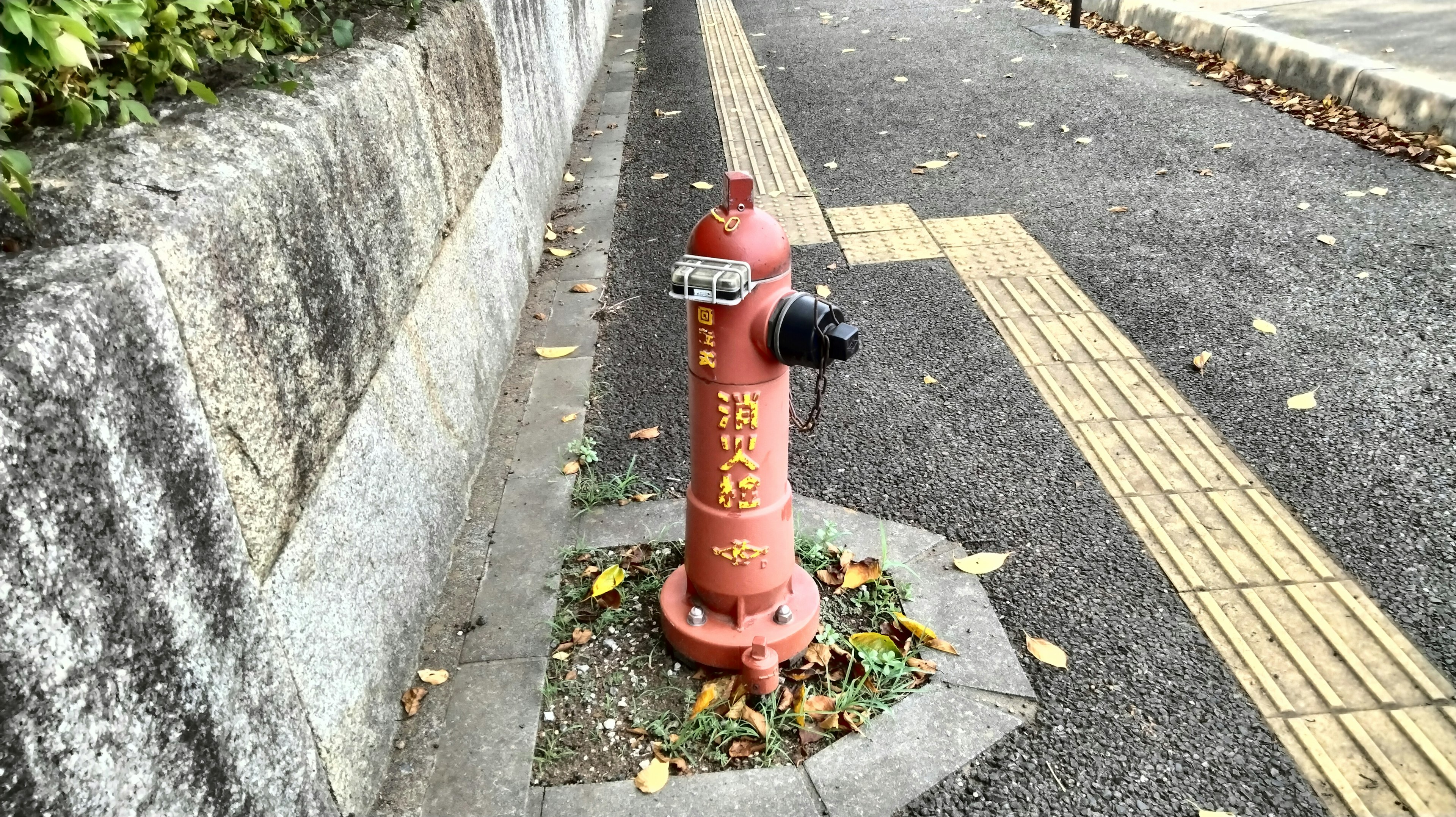 보도 가장자리에 위치한 빨간 소화전 주변에 흩어진 낙엽이 있다