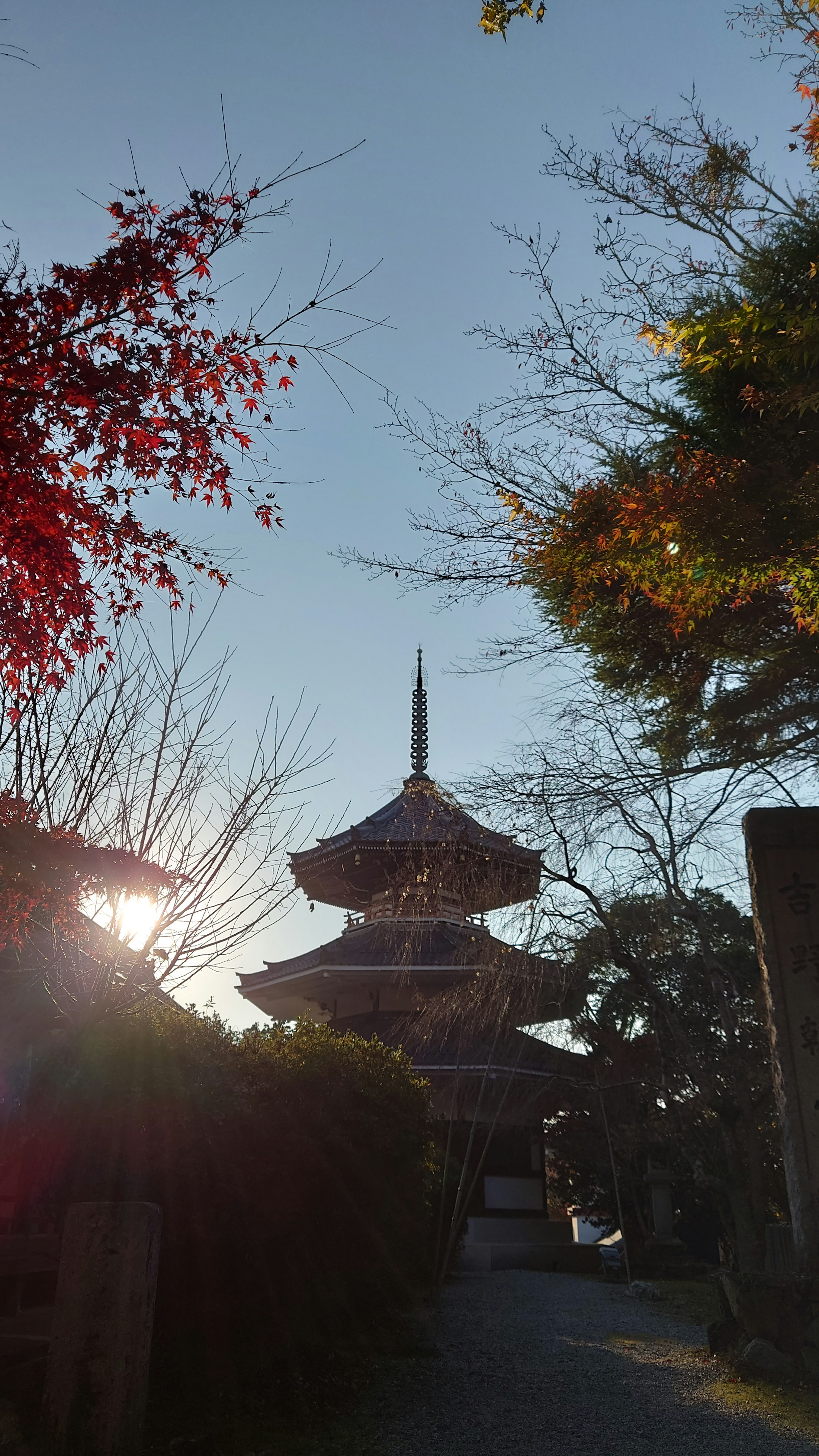 Schöne japanische Pagode mit Herbstblättern im Sonnenuntergang