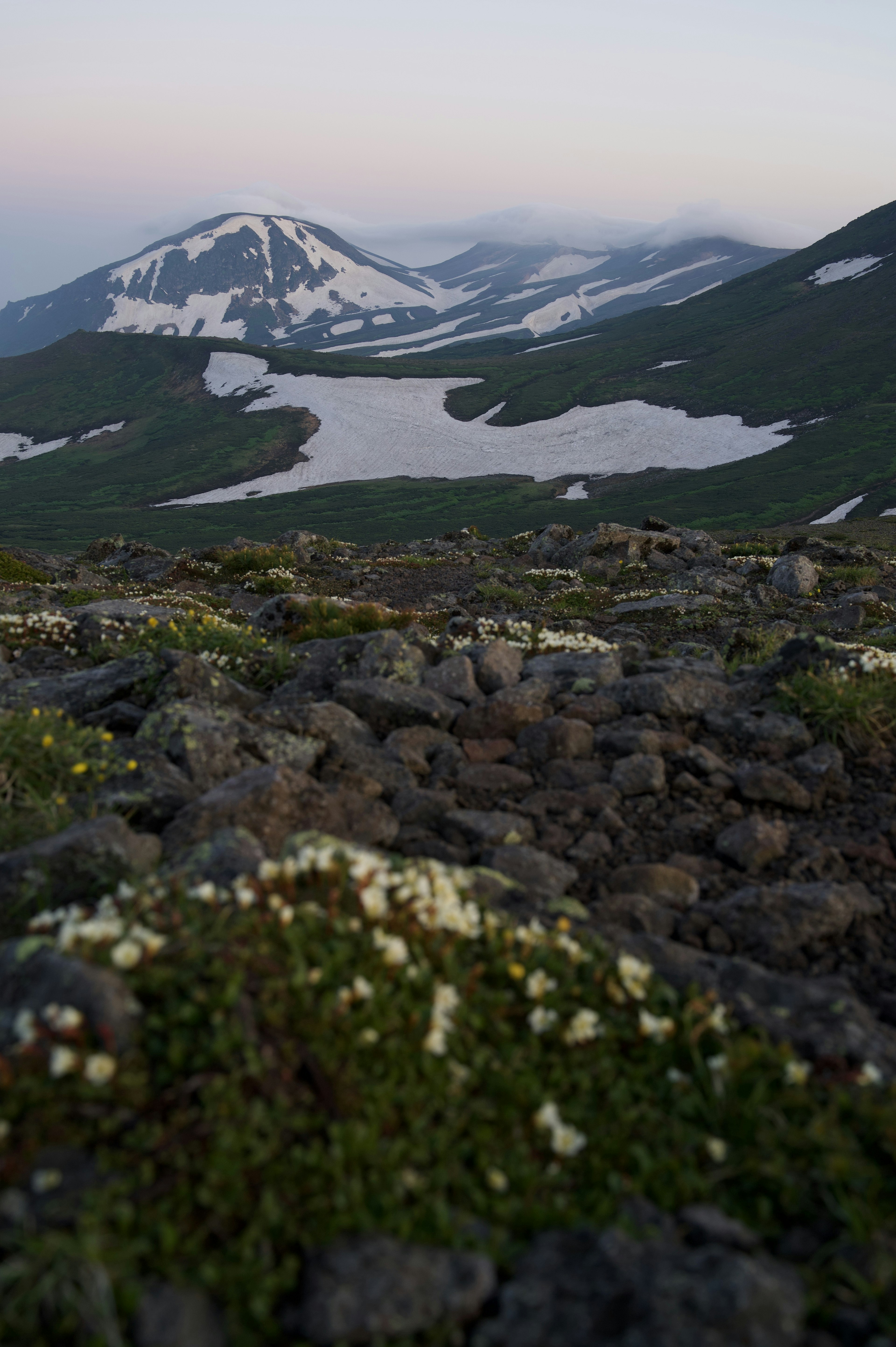 雪山和郁郁葱葱的草原的山地风景