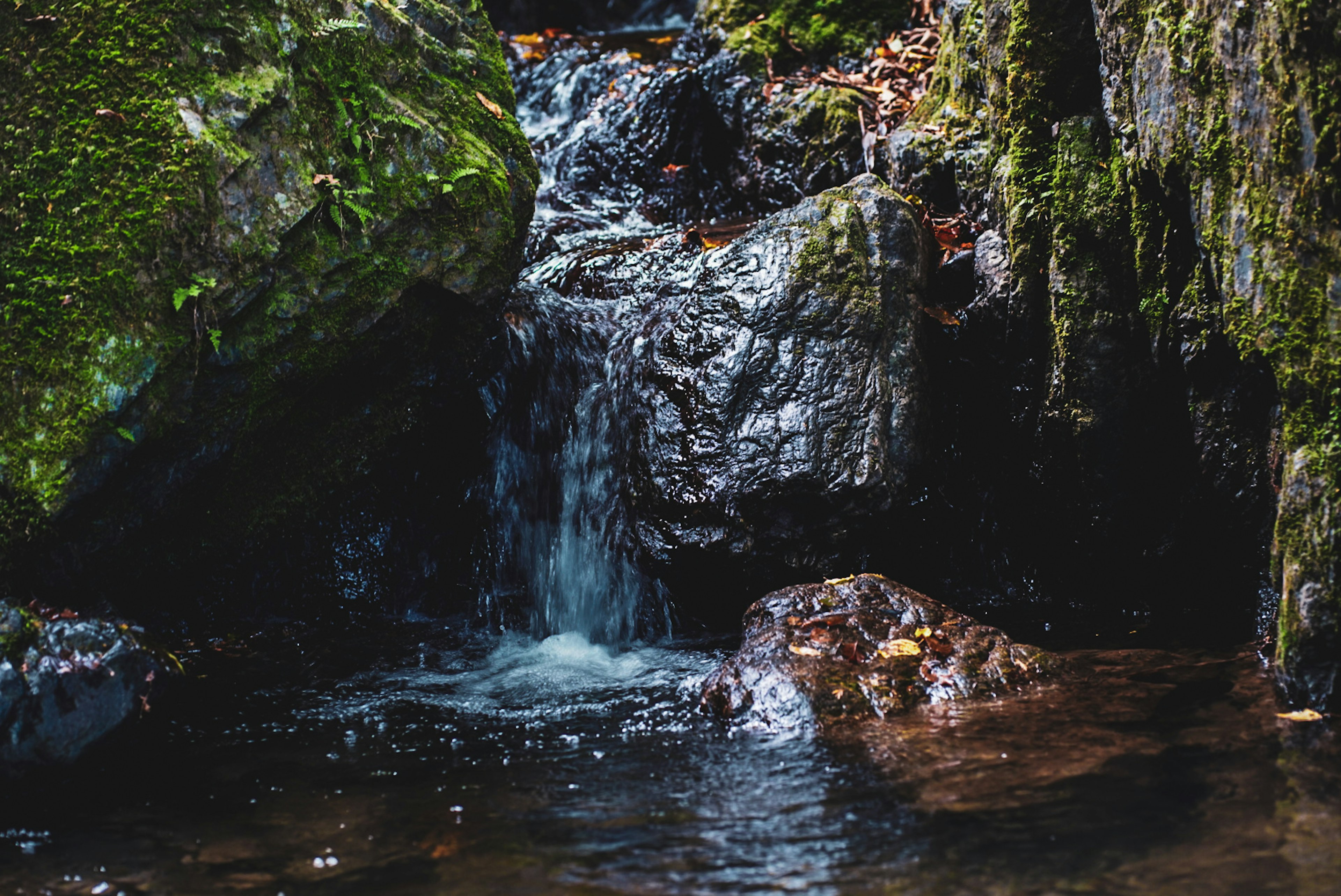 Cascade d'eau avec des rochers recouverts de mousse