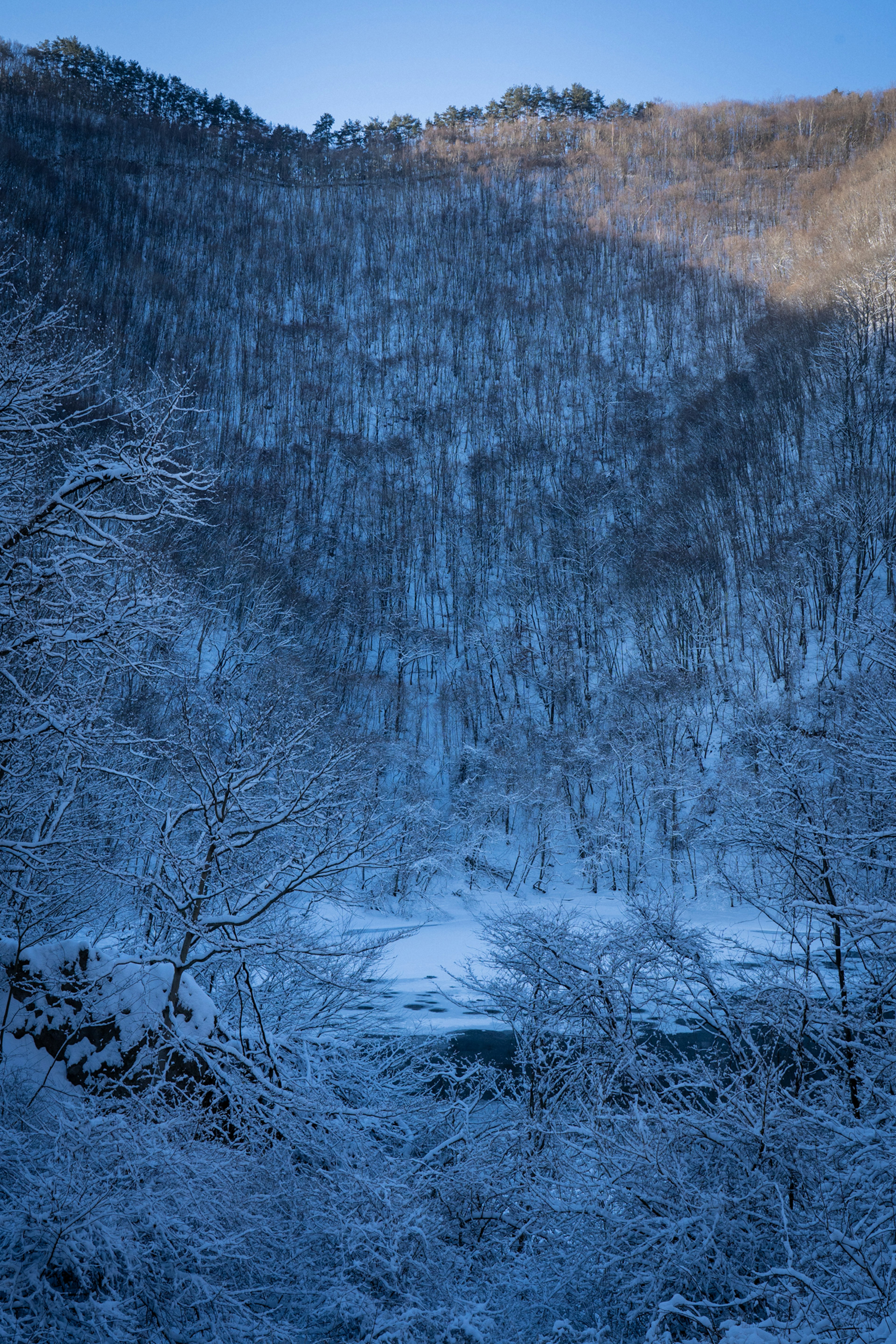 Snow-covered mountain landscape with blue tones